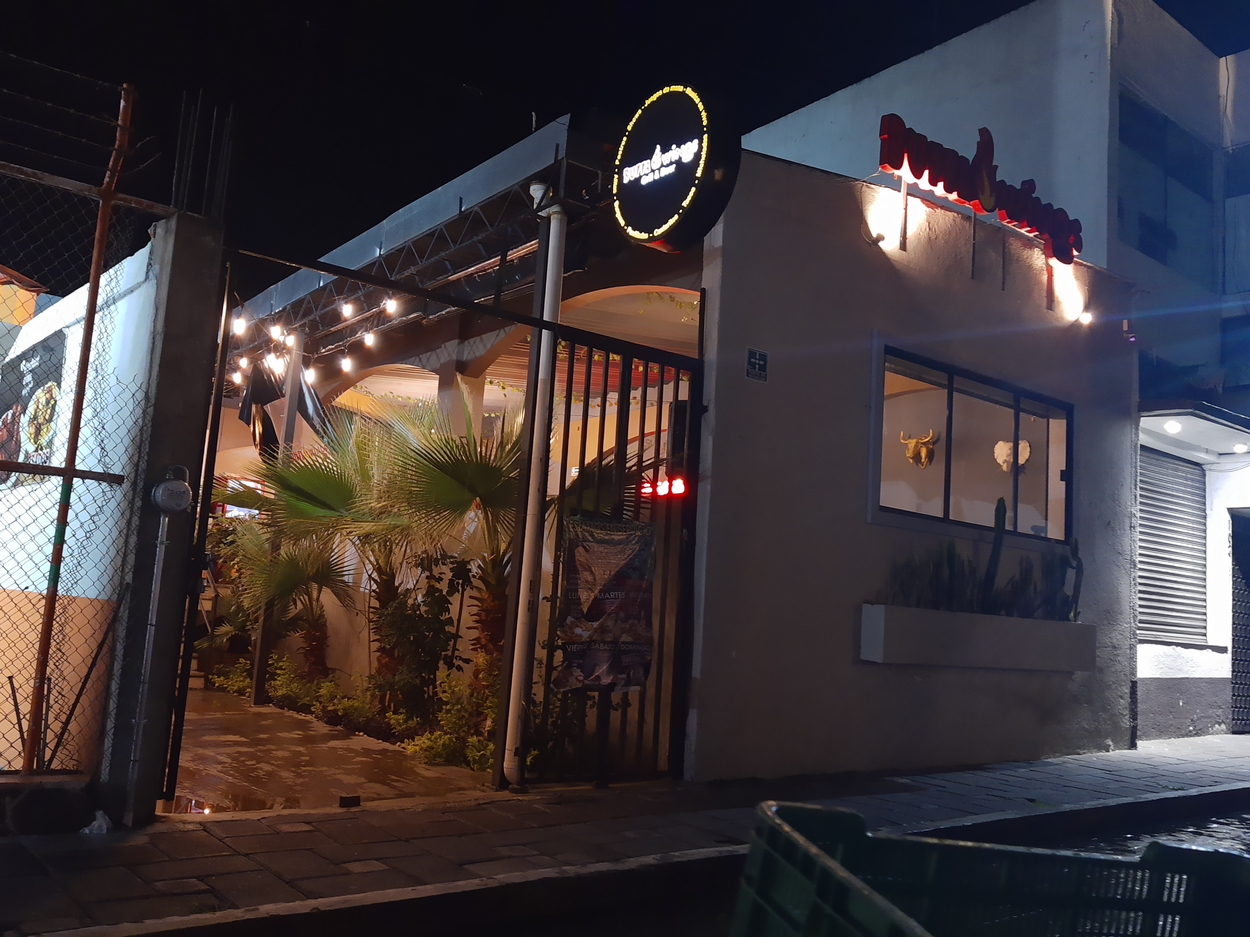 Buffa wings huamantla image 1