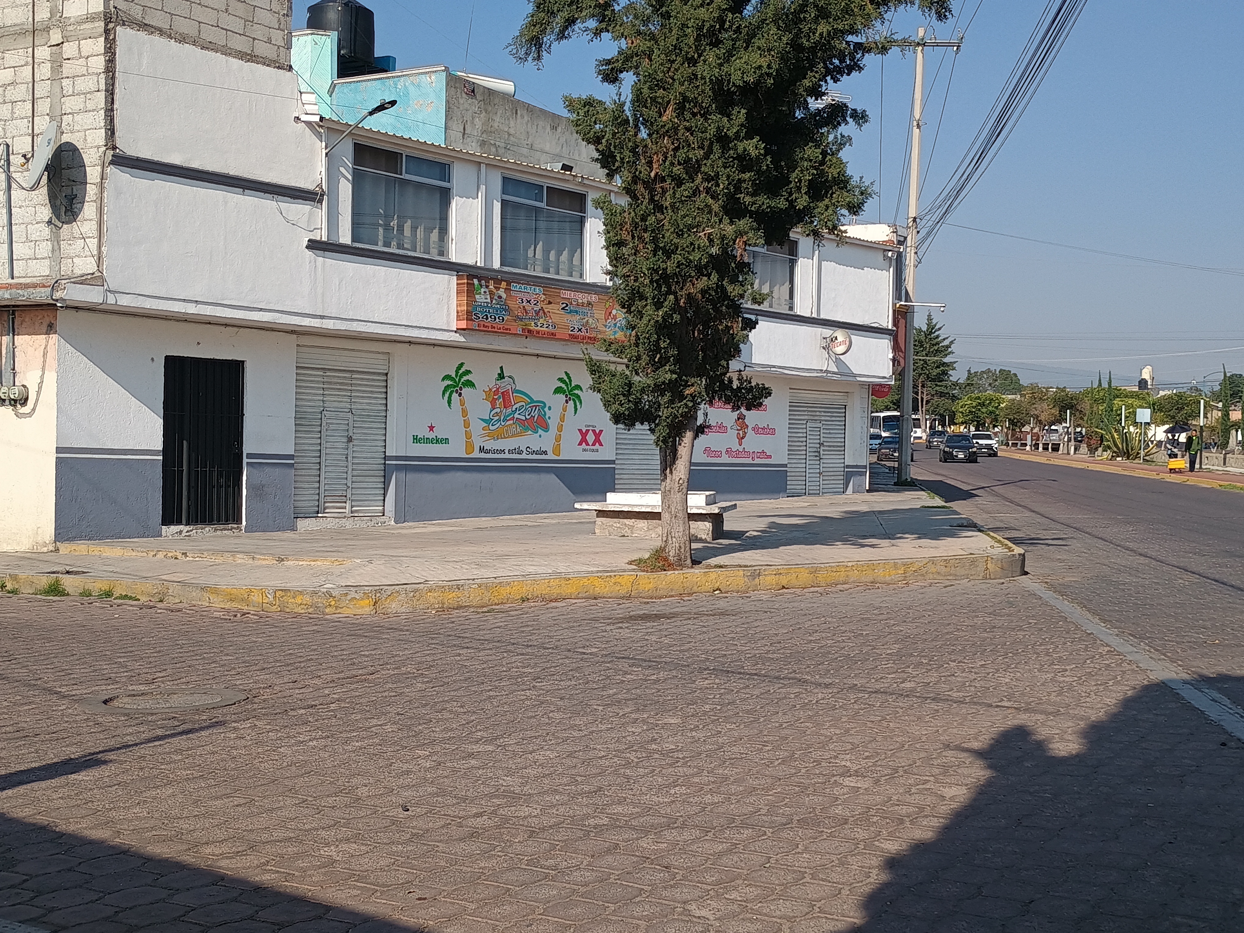 El Rey De La Cura image 4