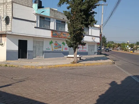 El Rey De La Cura image 4