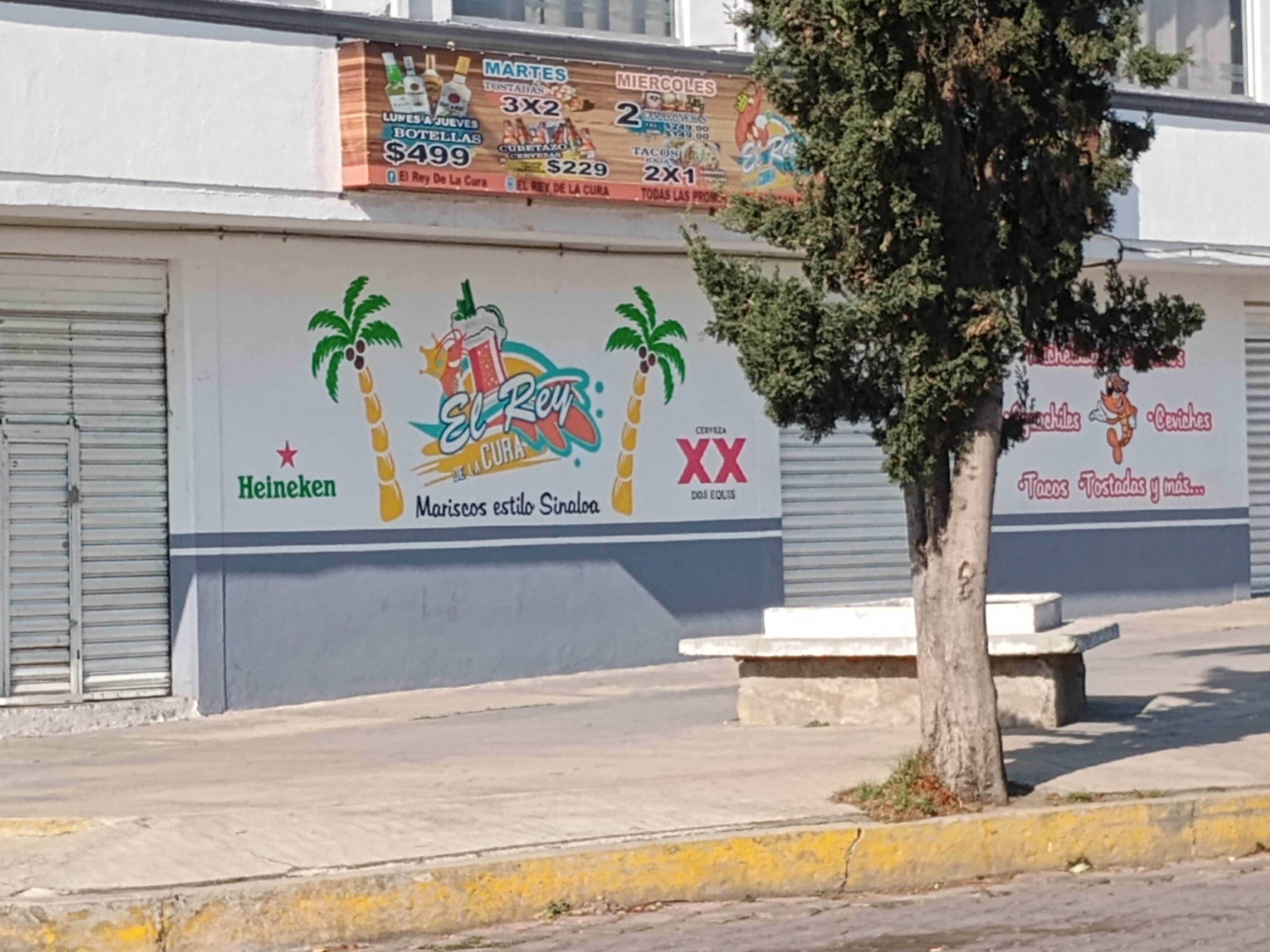 El Rey De La Cura image 5