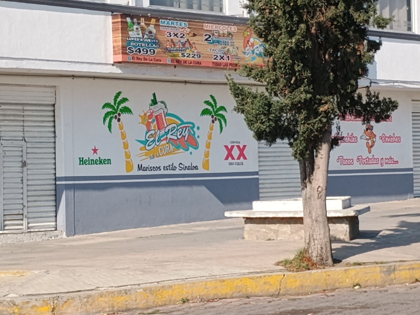 El Rey De La Cura image 5