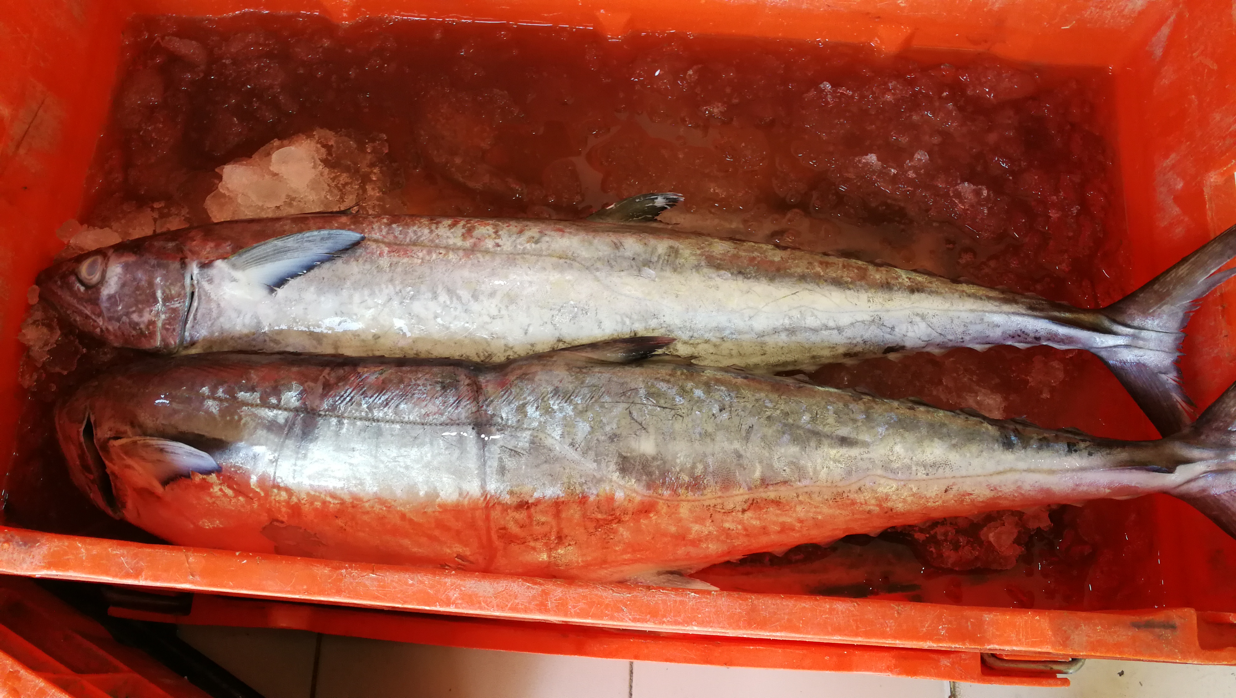 Marisqueria y Pescaderia "La Ola" image 10