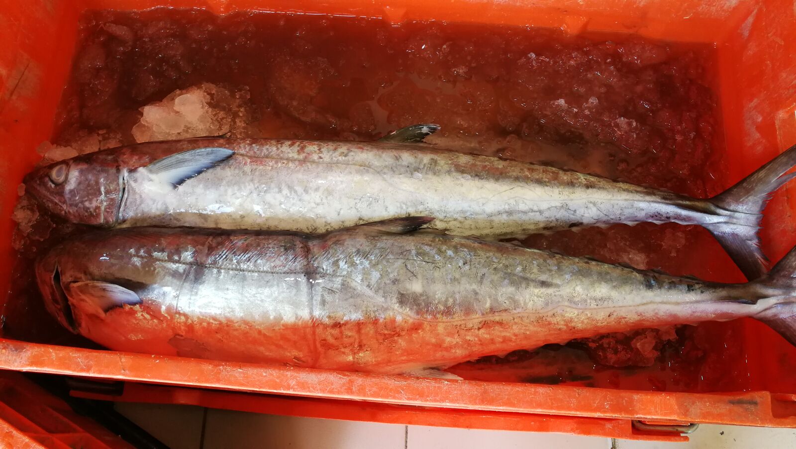 Marisqueria y Pescaderia "La Ola" image 10