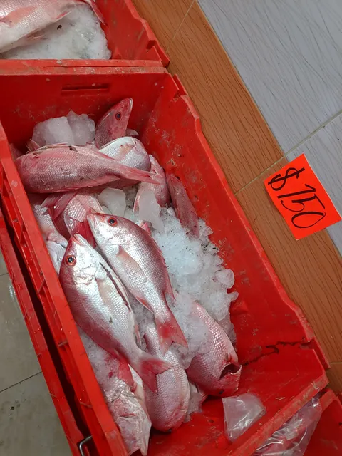 Bodega De Pesacdos Y Mariscos "Villegas" image 3
