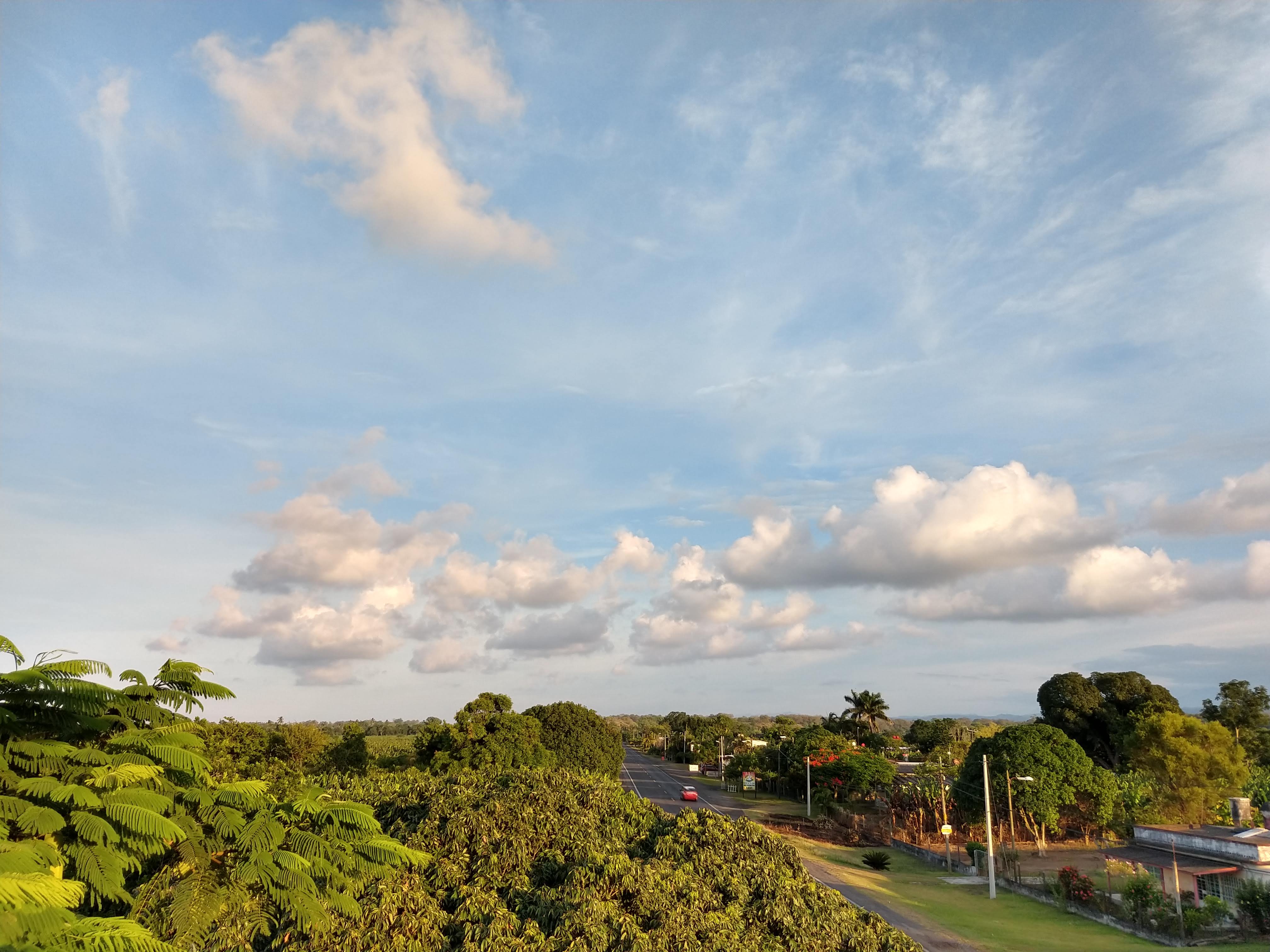 Bodega De Pesacdos Y Mariscos "Villegas" image 8
