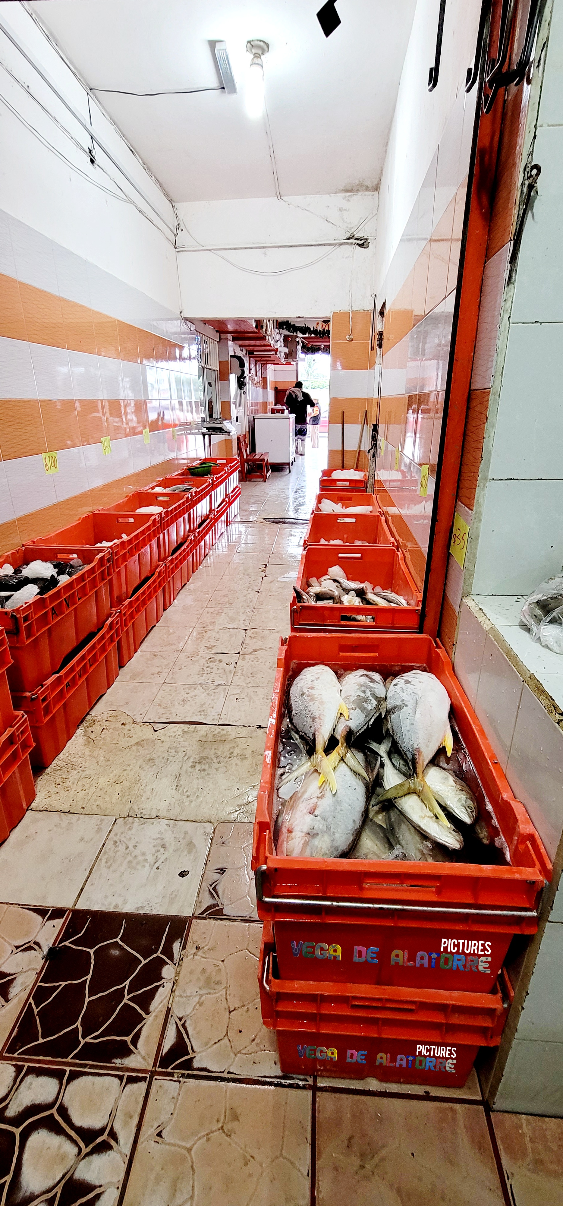 Bodega De Pesacdos Y Mariscos "Villegas" image 9