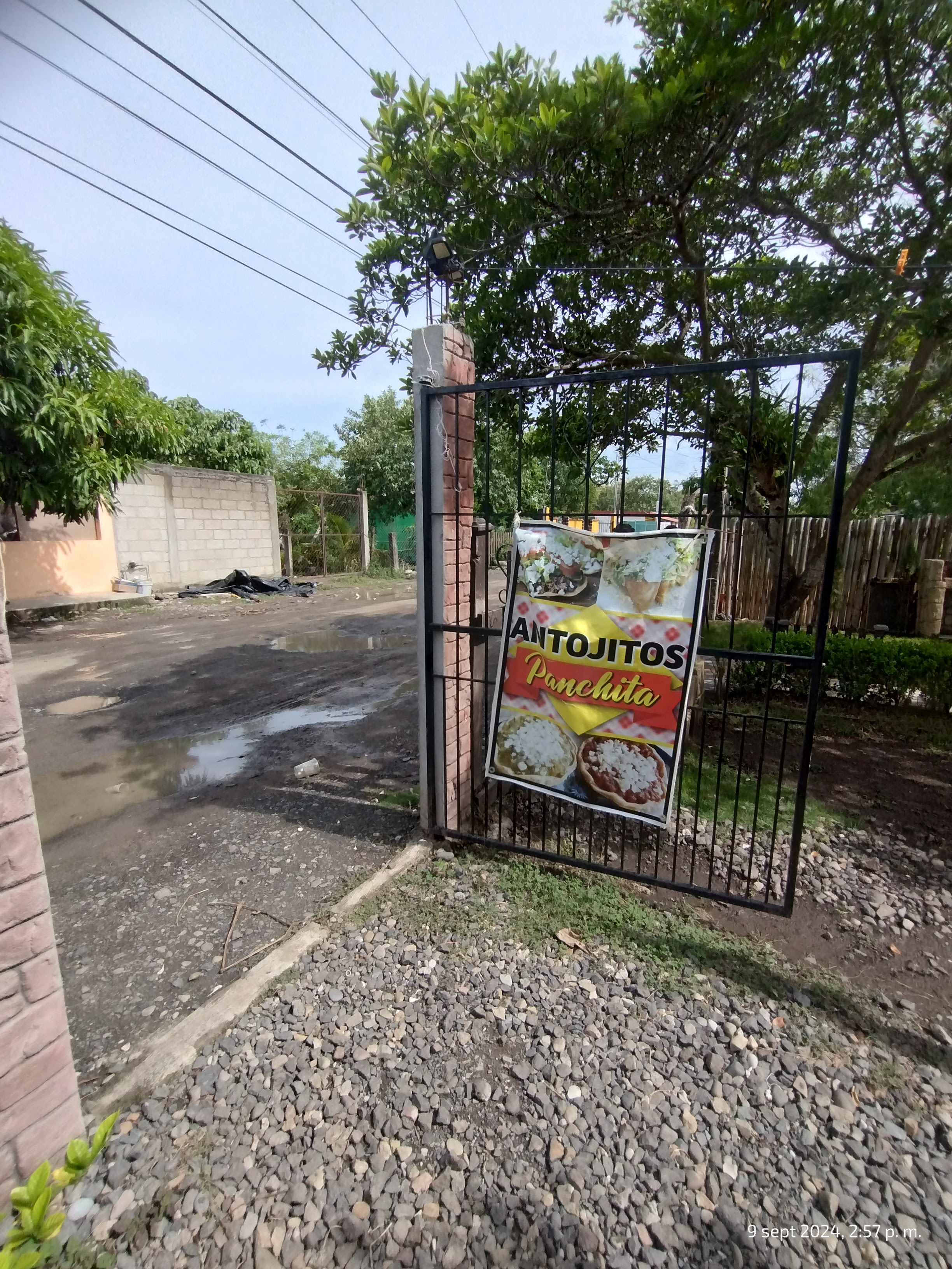 ANTOJITOS PANCHITA image 4