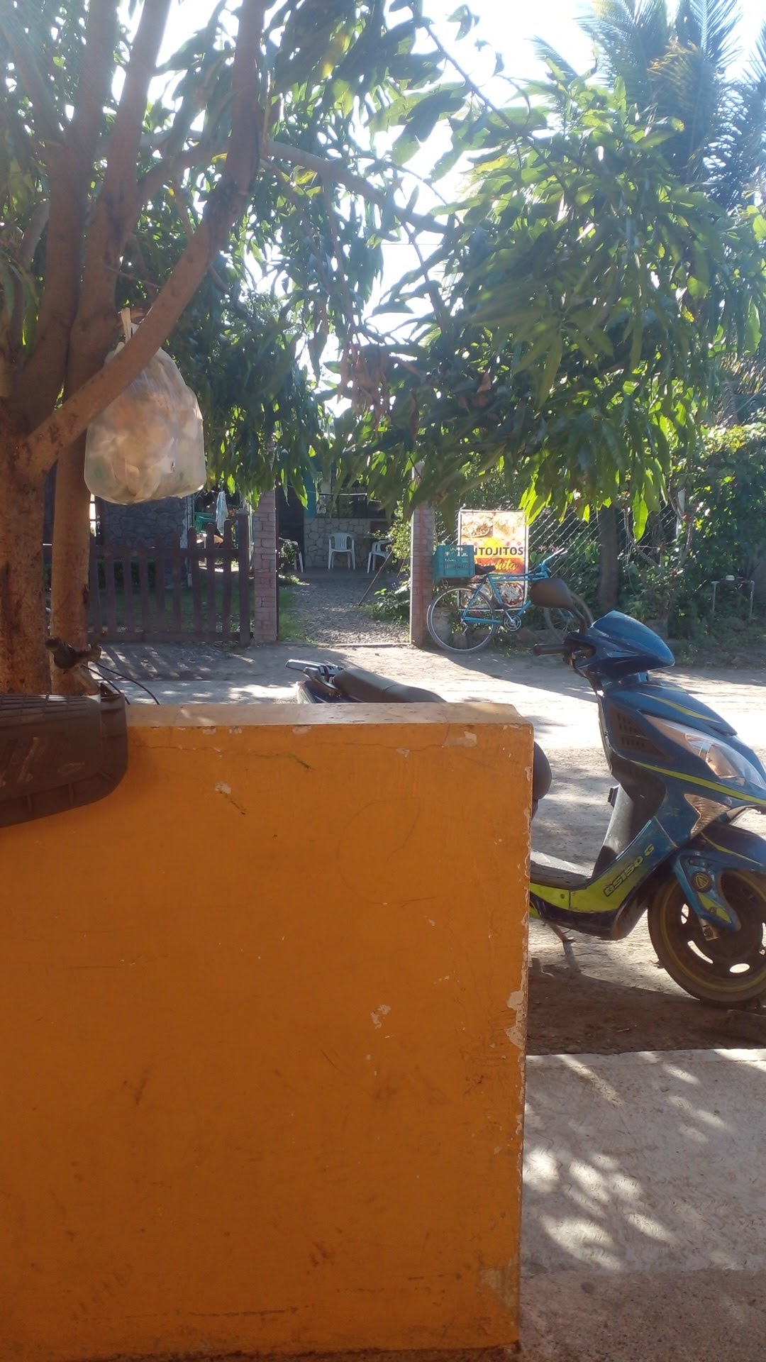 ANTOJITOS PANCHITA image 8