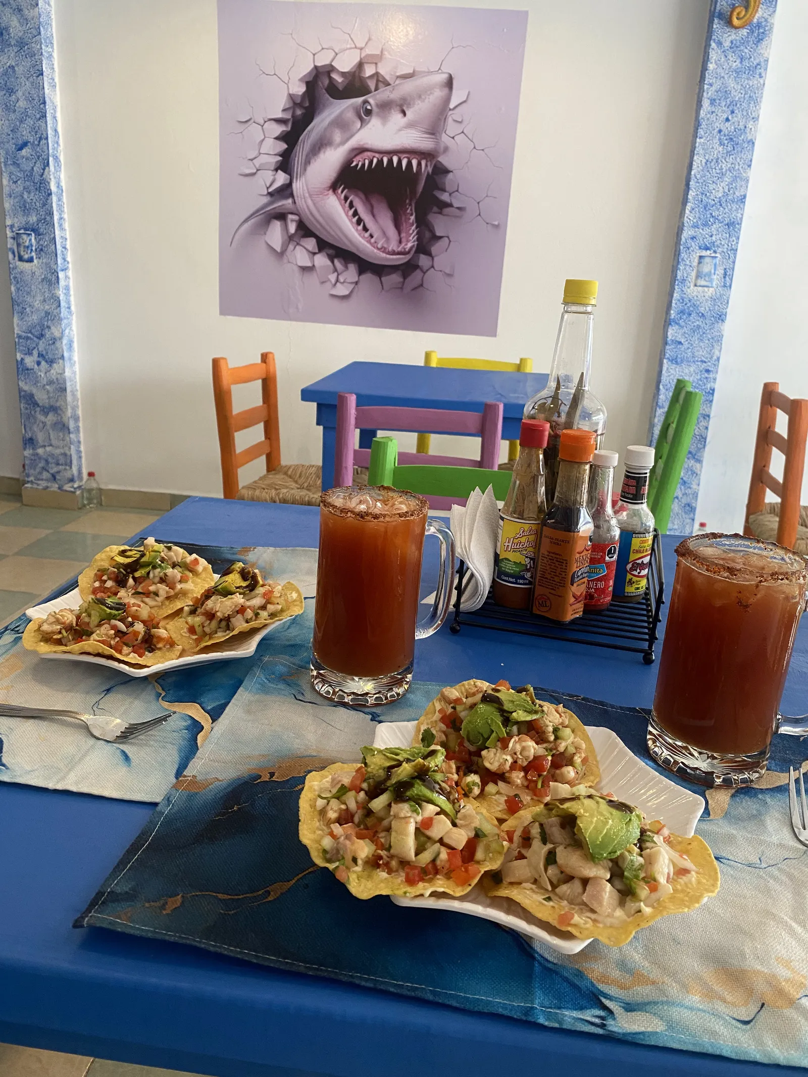 La capitana image 2