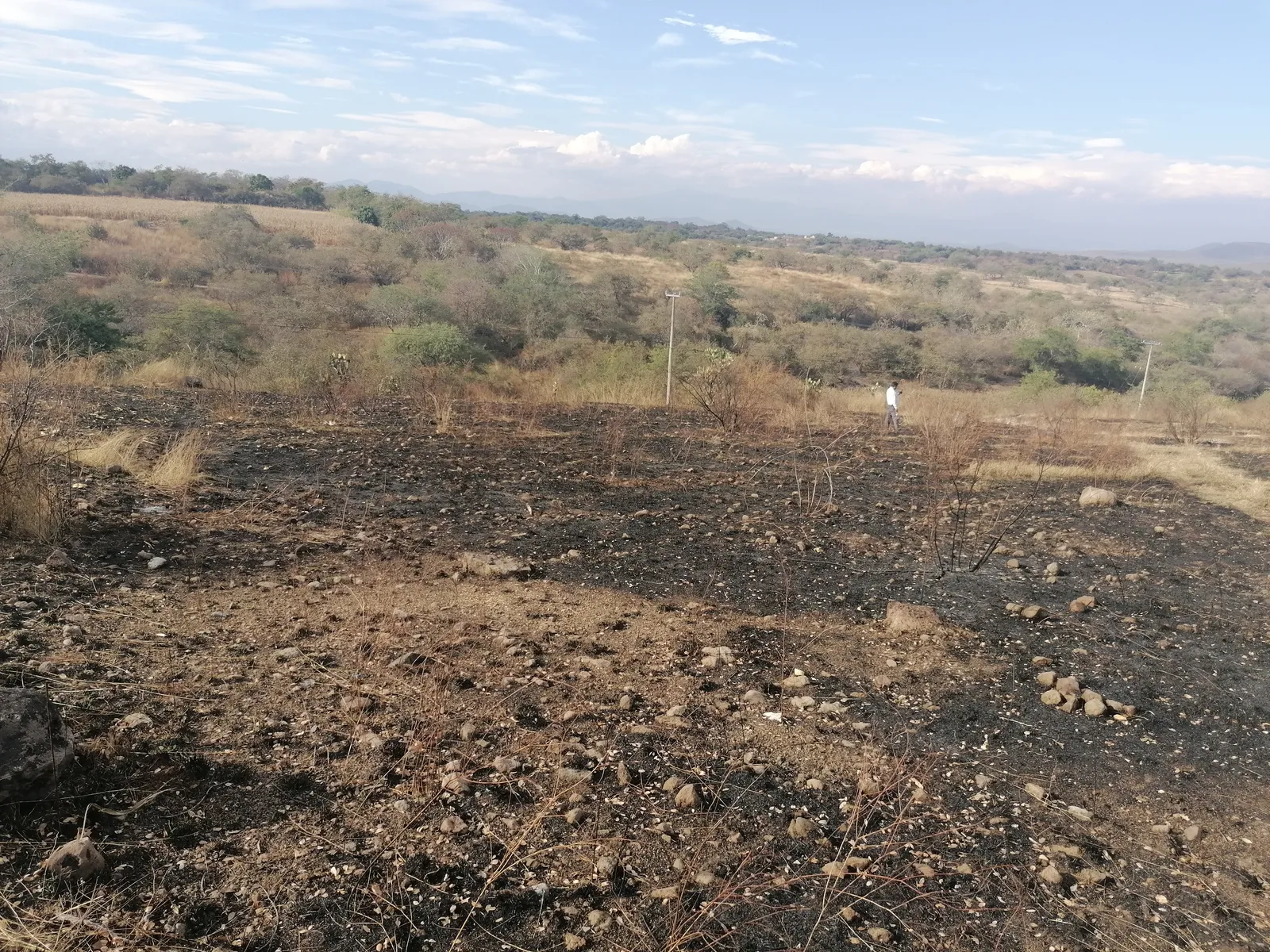 Sazón Campirano image 6