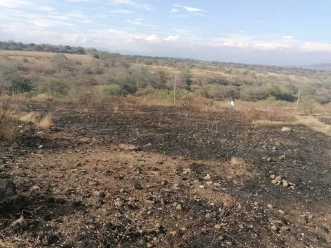 Sazón Campirano image 6
