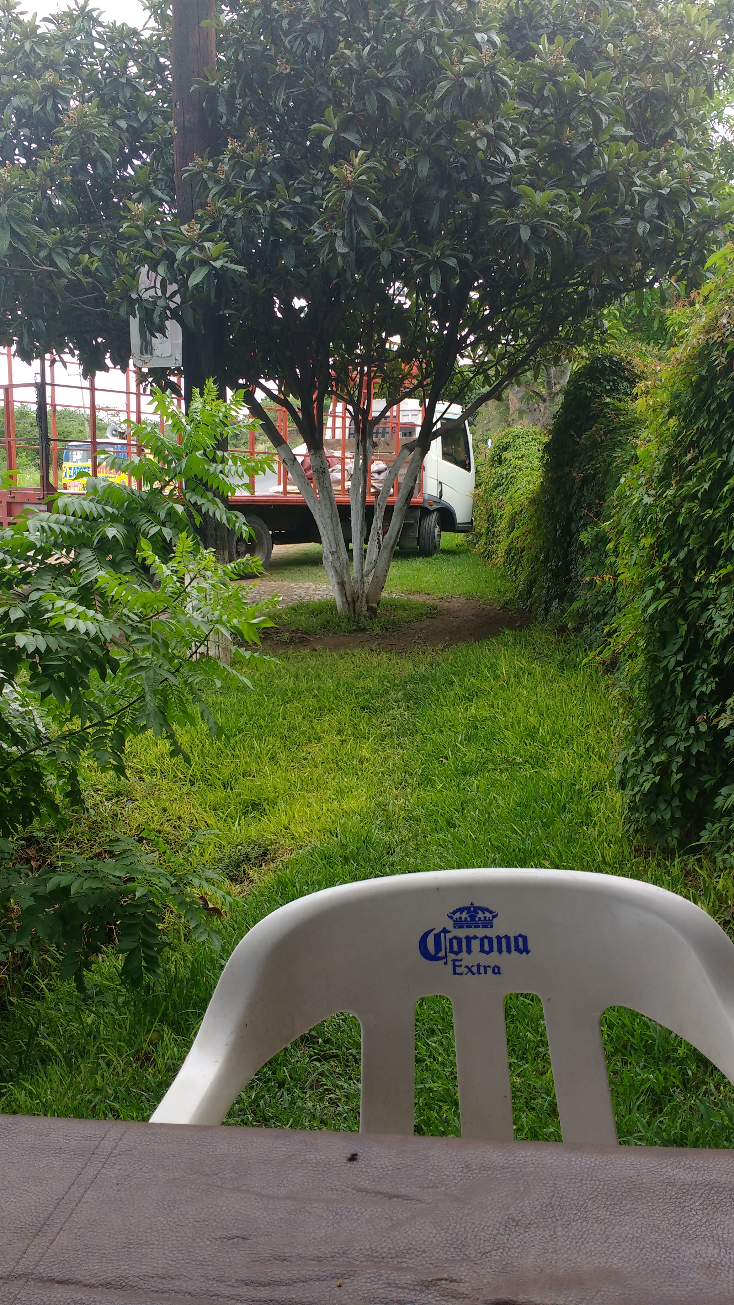 Sazón Campirano image 10