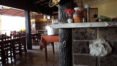 Los Güeros image 3