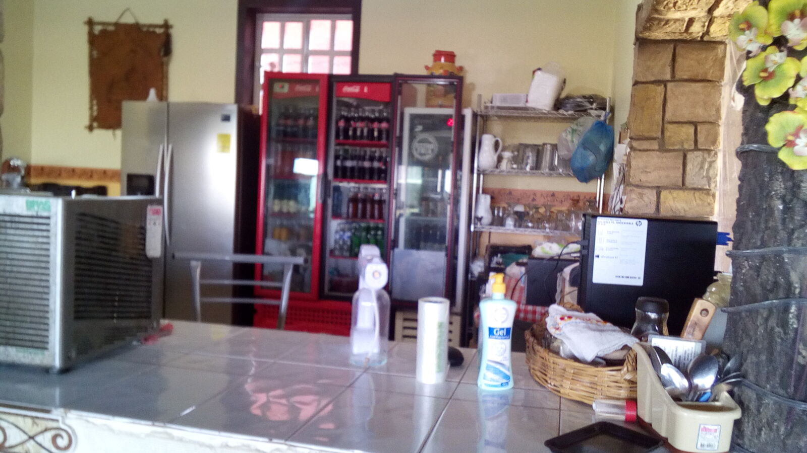 Los Güeros image 7