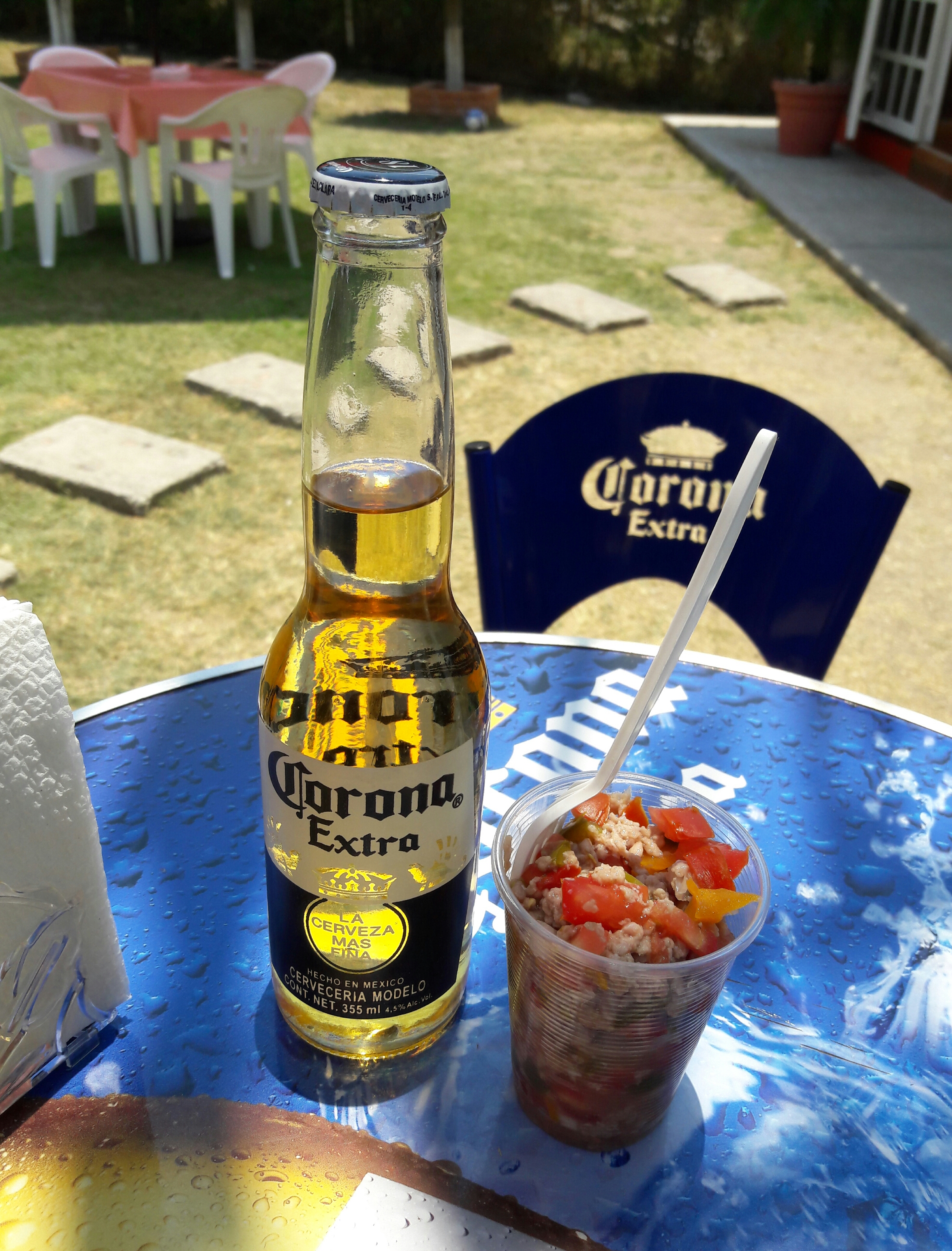 Palapa Bugambilias image 2