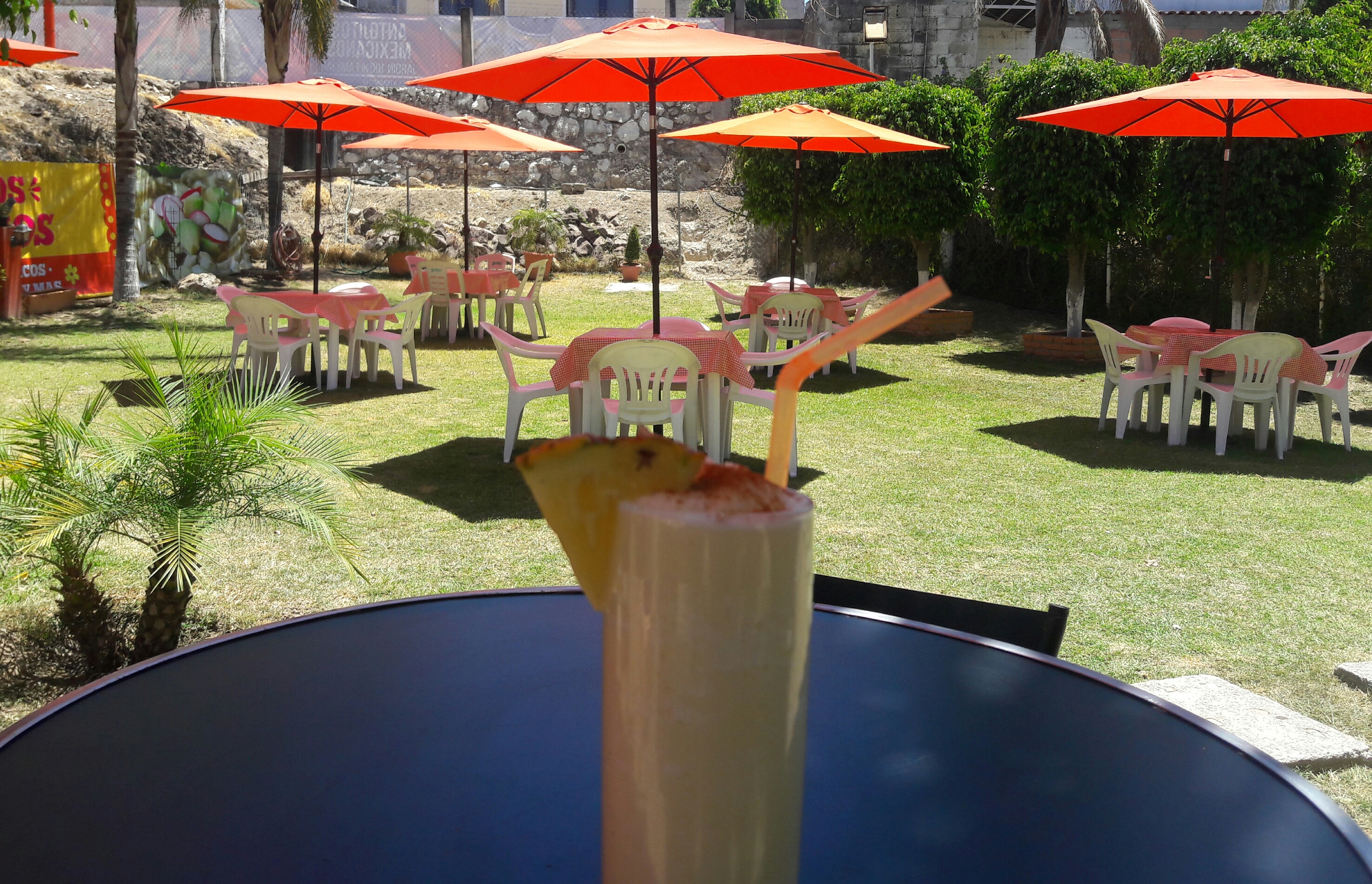 Palapa Bugambilias image 3