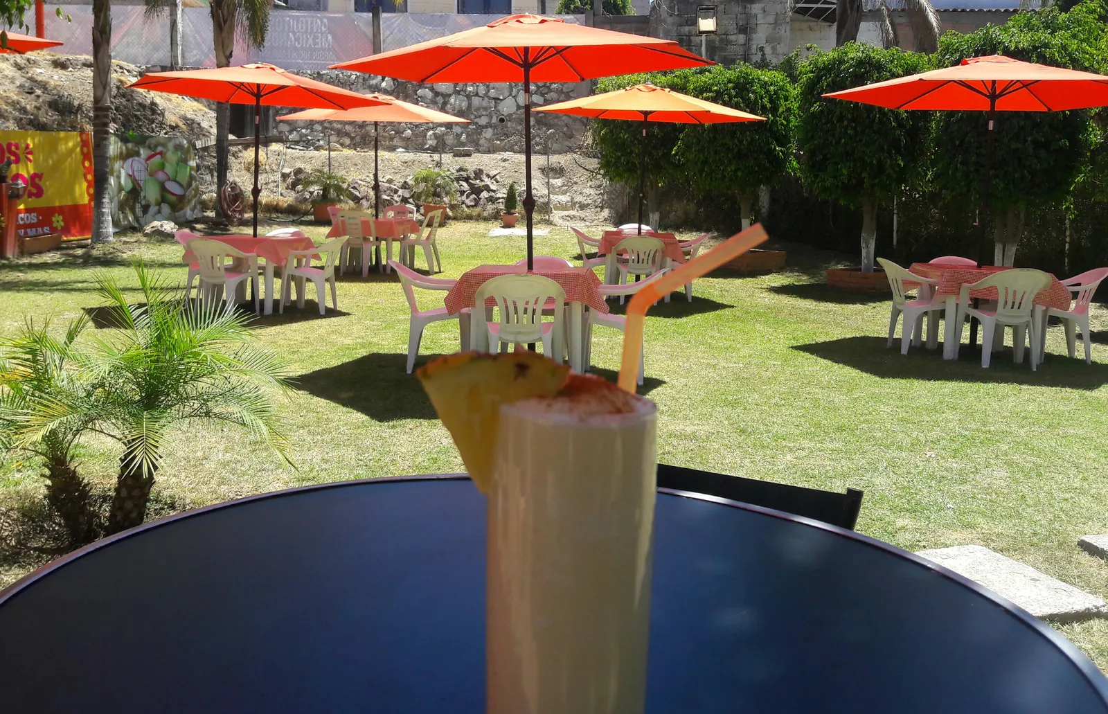 Palapa Bugambilias image 3