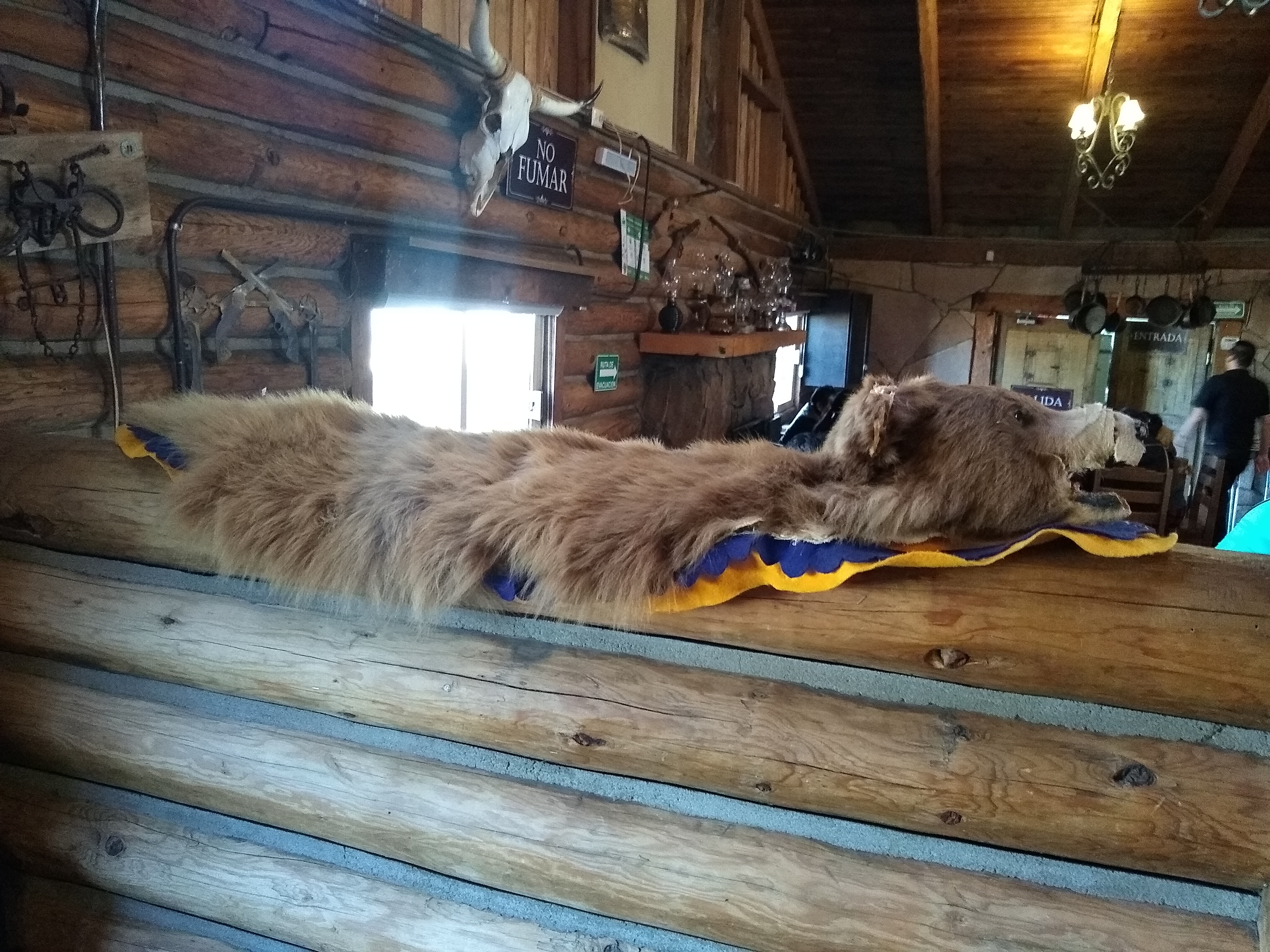 Buffalo Steakhouse image 6