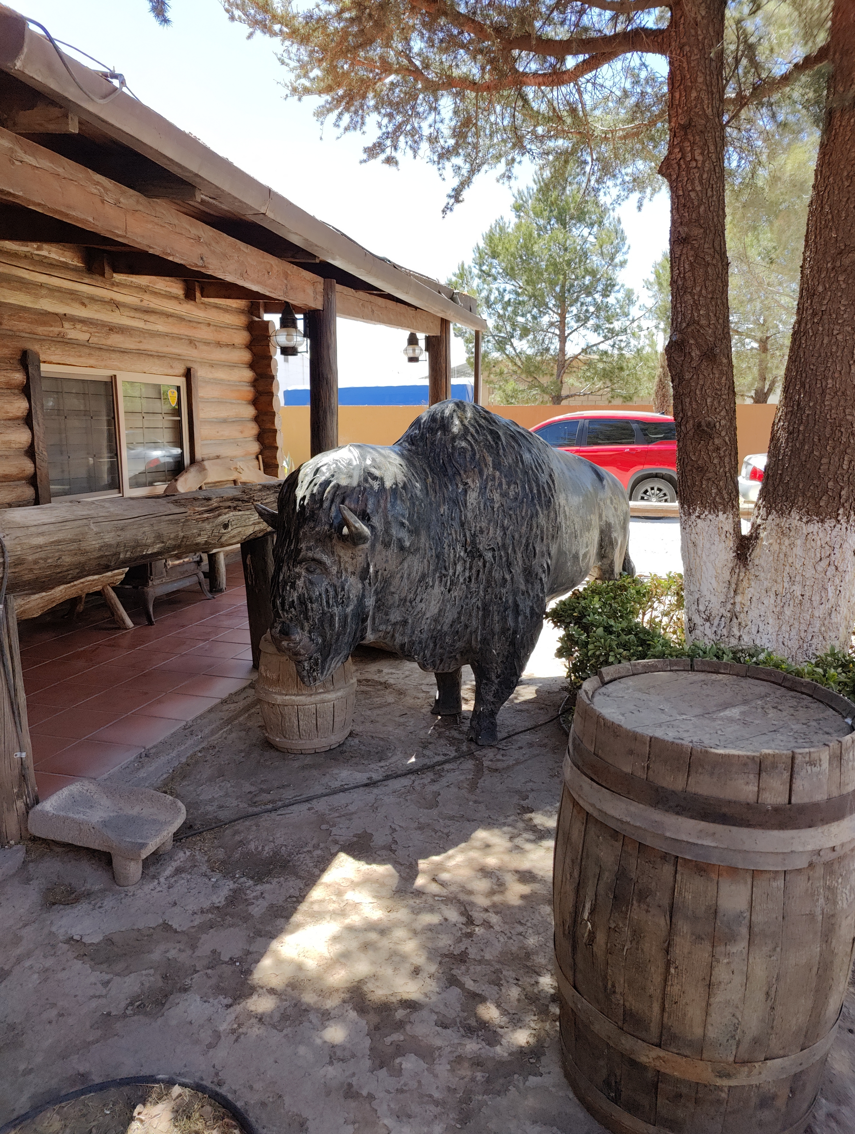 Buffalo Steakhouse image 8