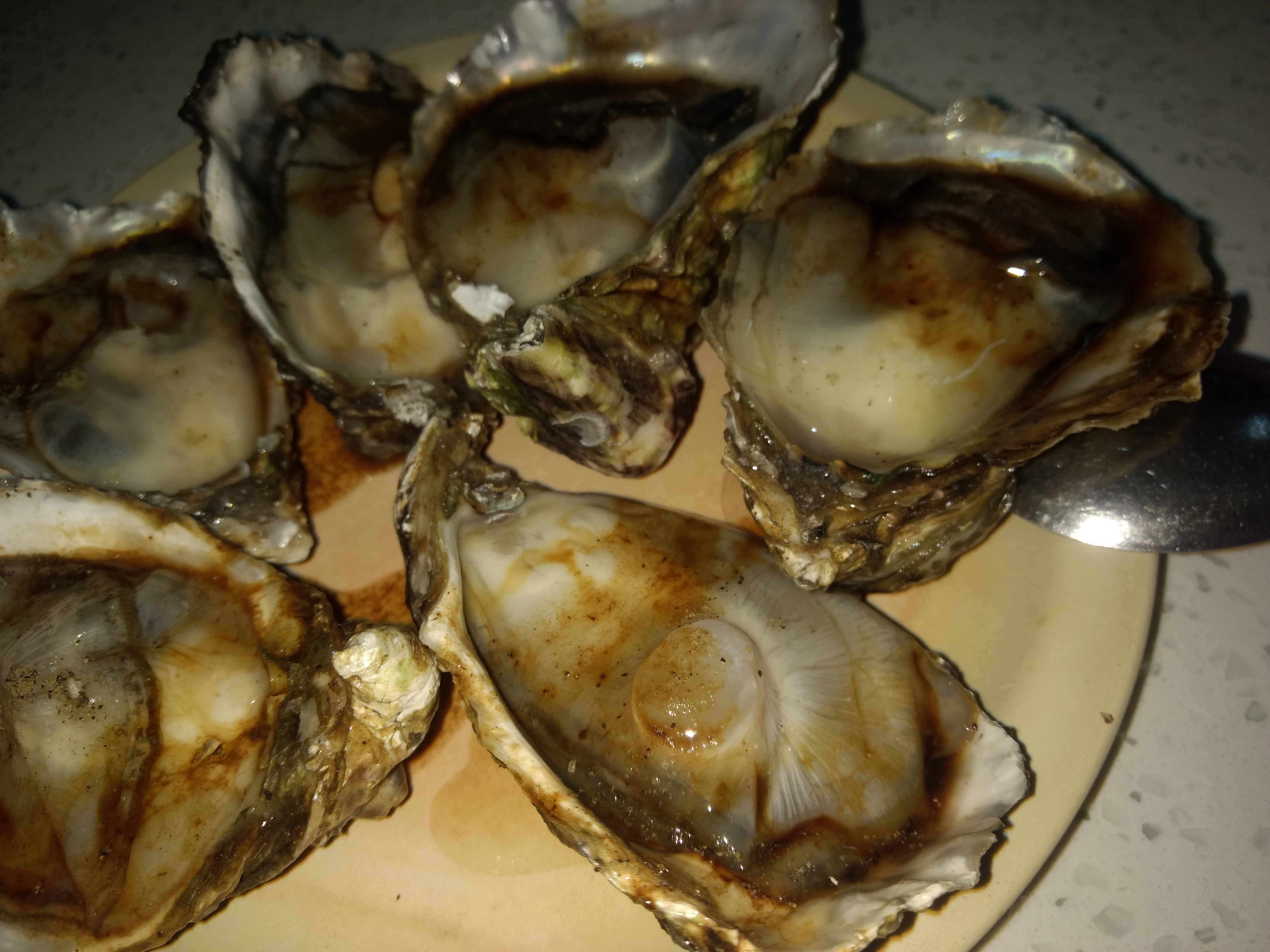 Cocteleria Lily image 4