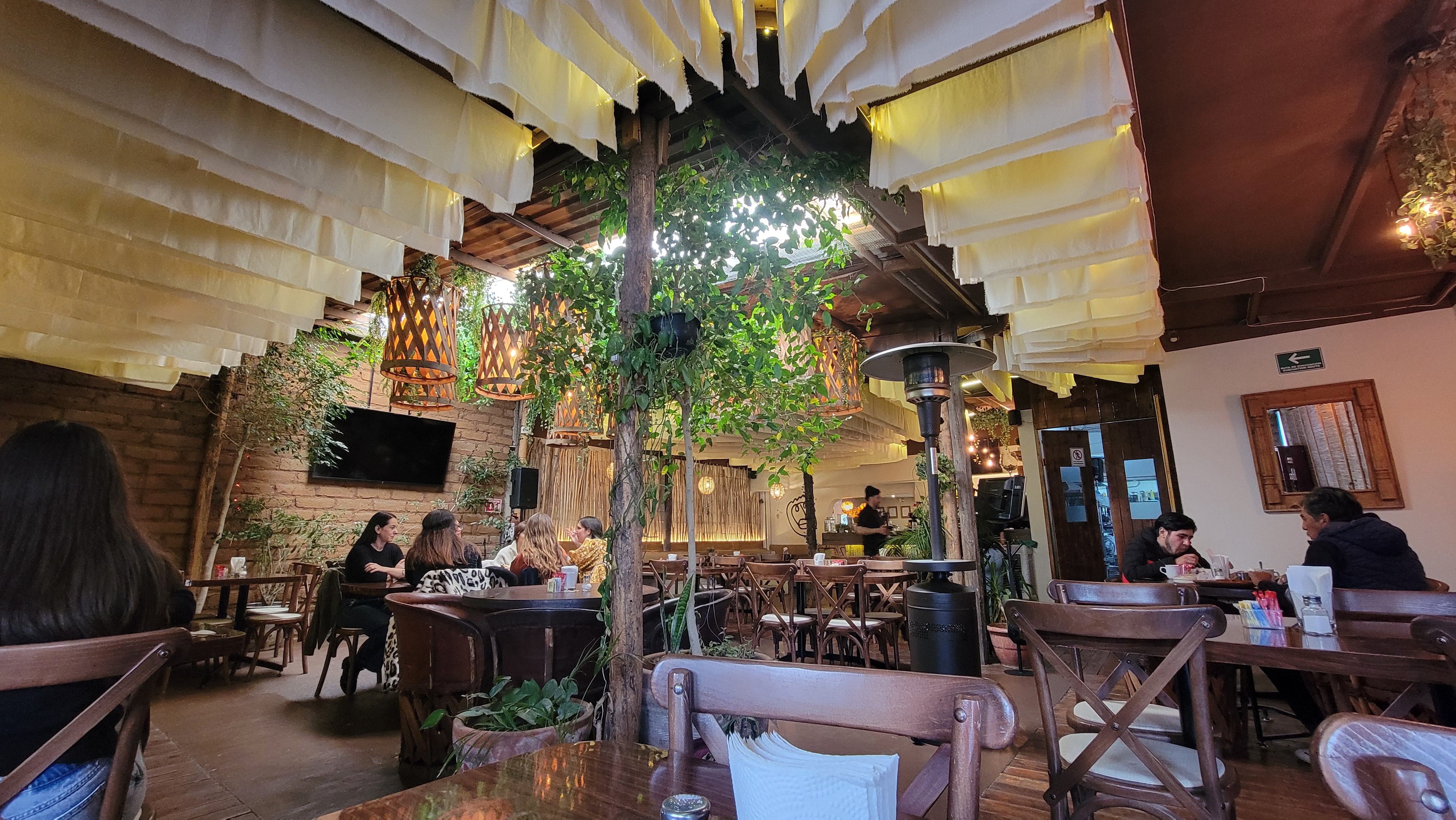 Opereta Galeria-cafe image 5