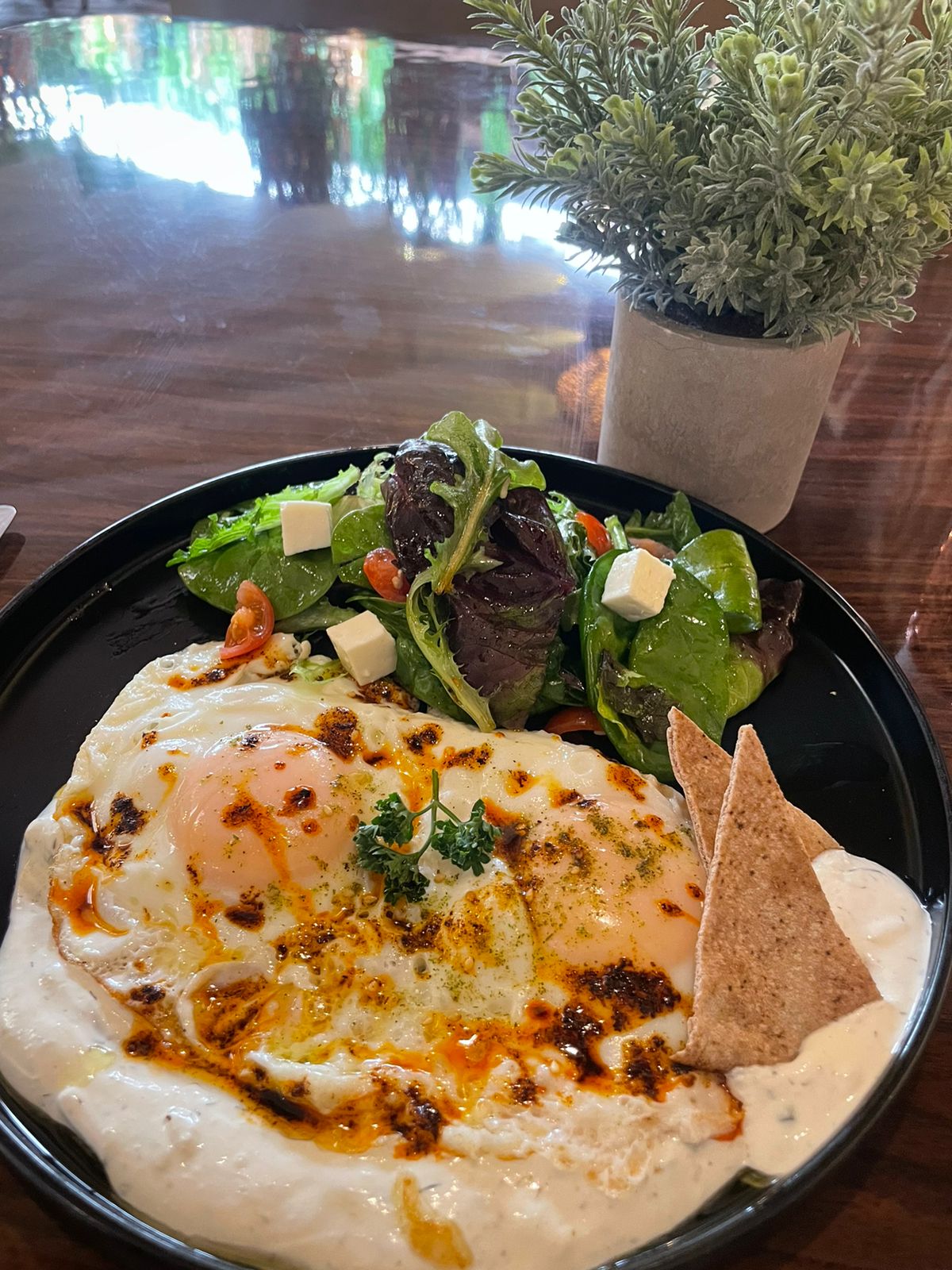 Opereta Galeria-cafe image 9