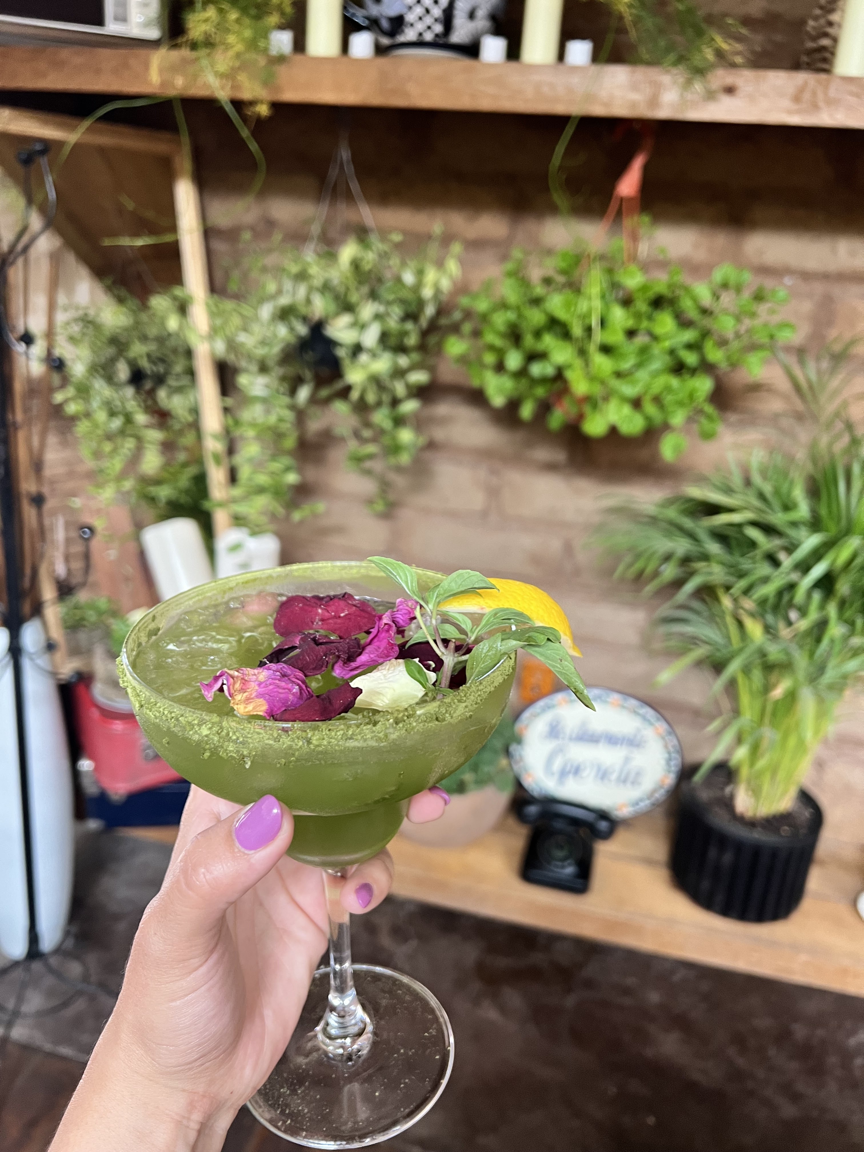 Opereta Galeria-cafe image 10