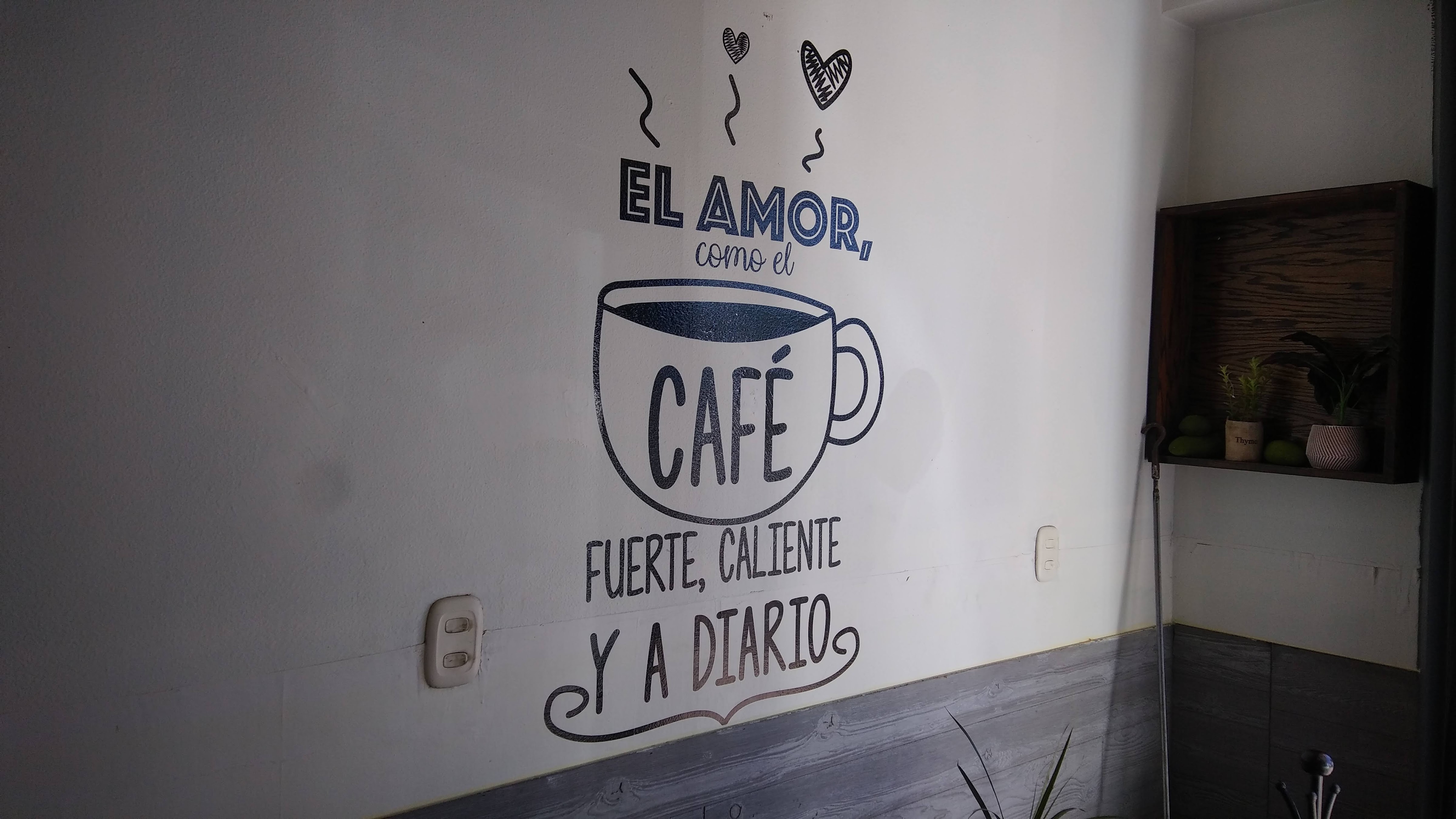 Restaurant Tarahumara II image 8