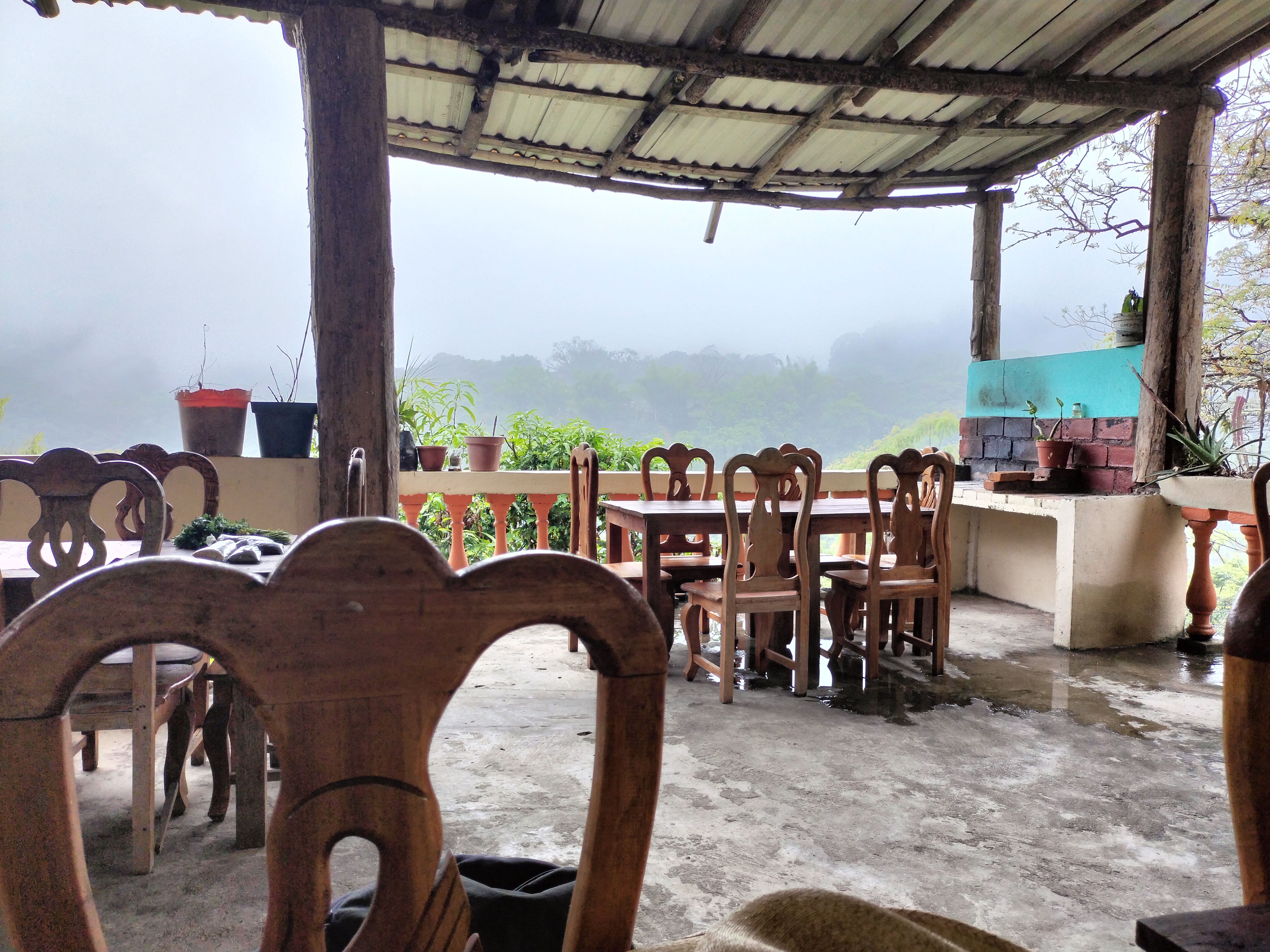 Las Orquideas image 1