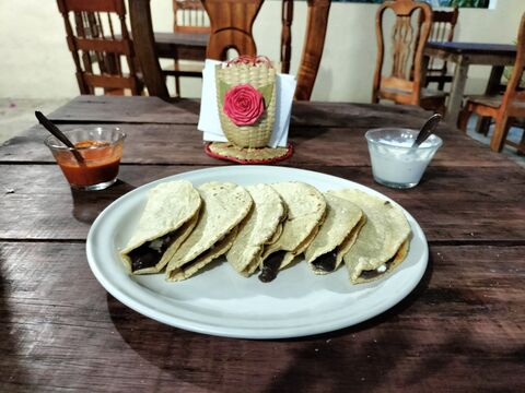 Las Orquideas image 2