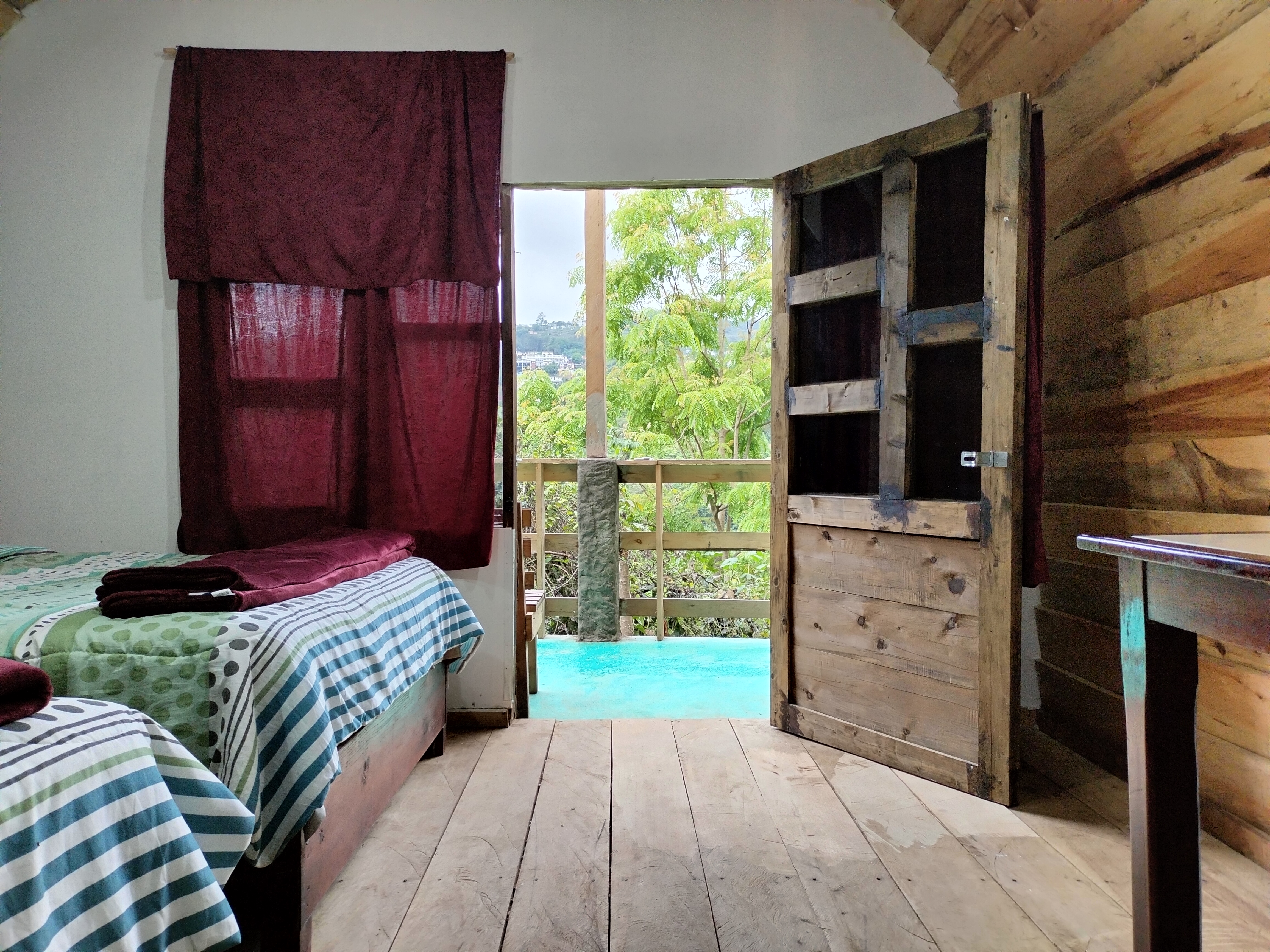 Las Orquideas image 3