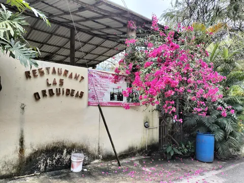 Las Orquideas image 4