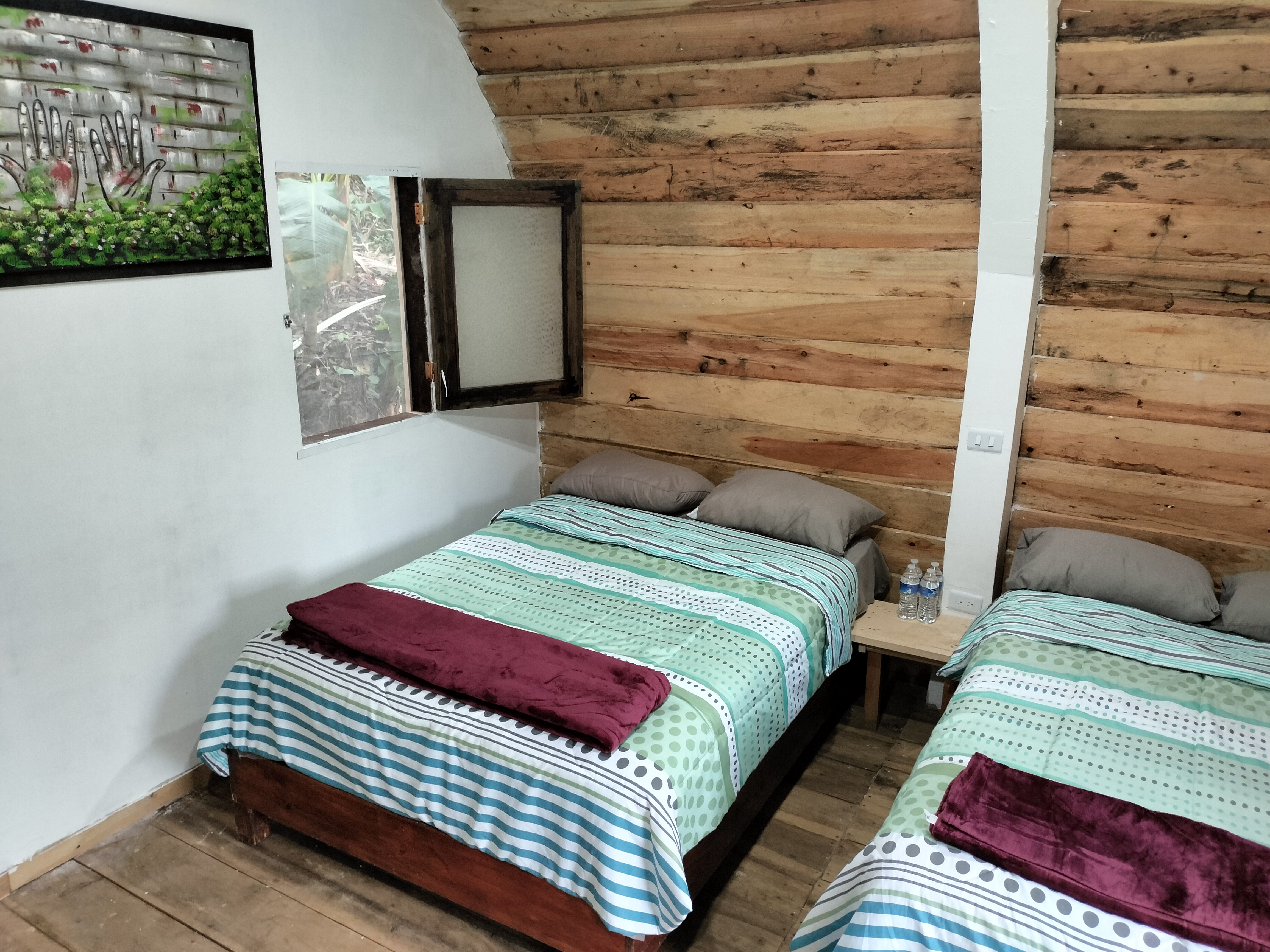 Las Orquideas image 5