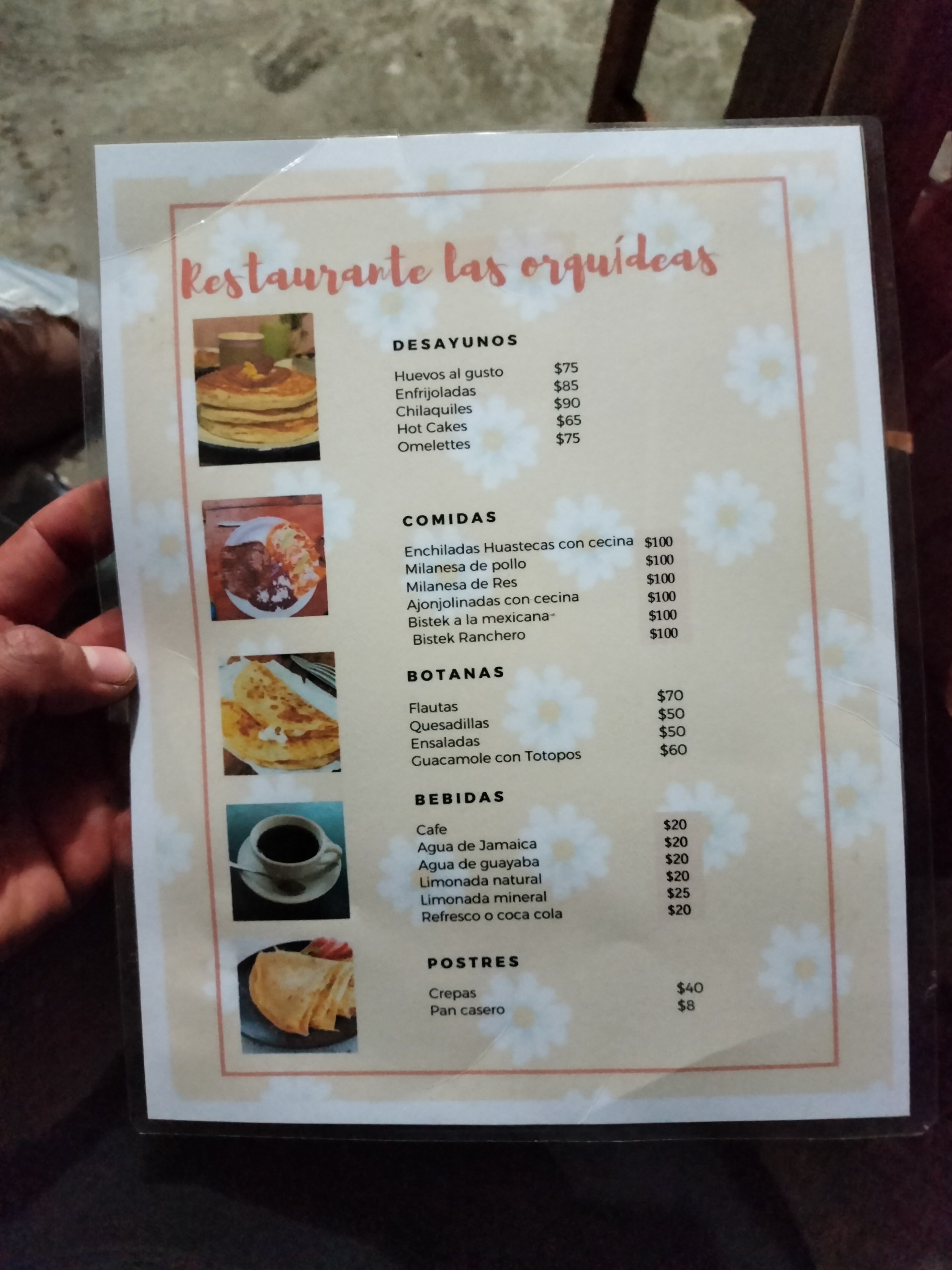 Las Orquideas image 6