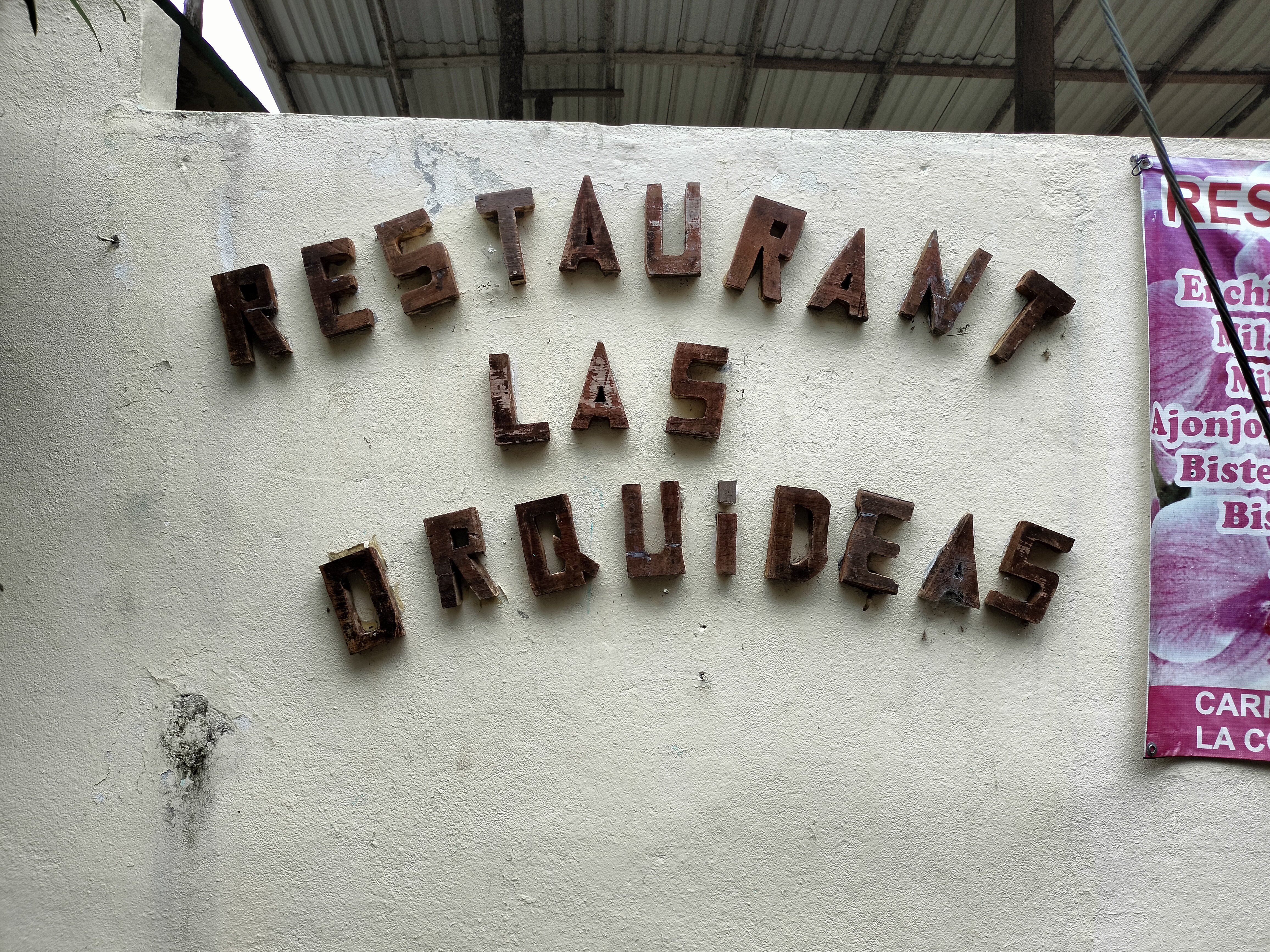 Las Orquideas image 9