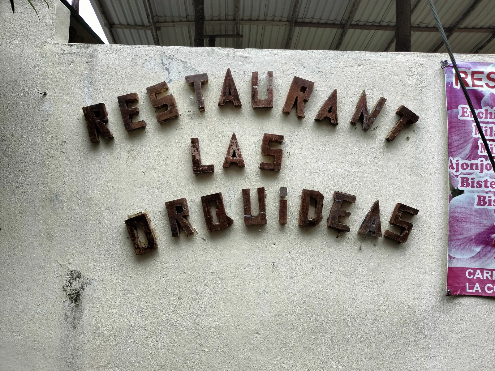 Las Orquideas image 9