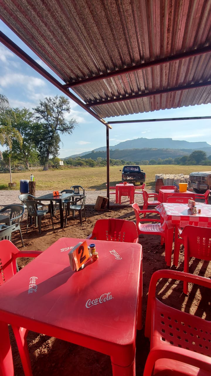 Birriería El Nogal, BIRRIA TATEMADA. image 1