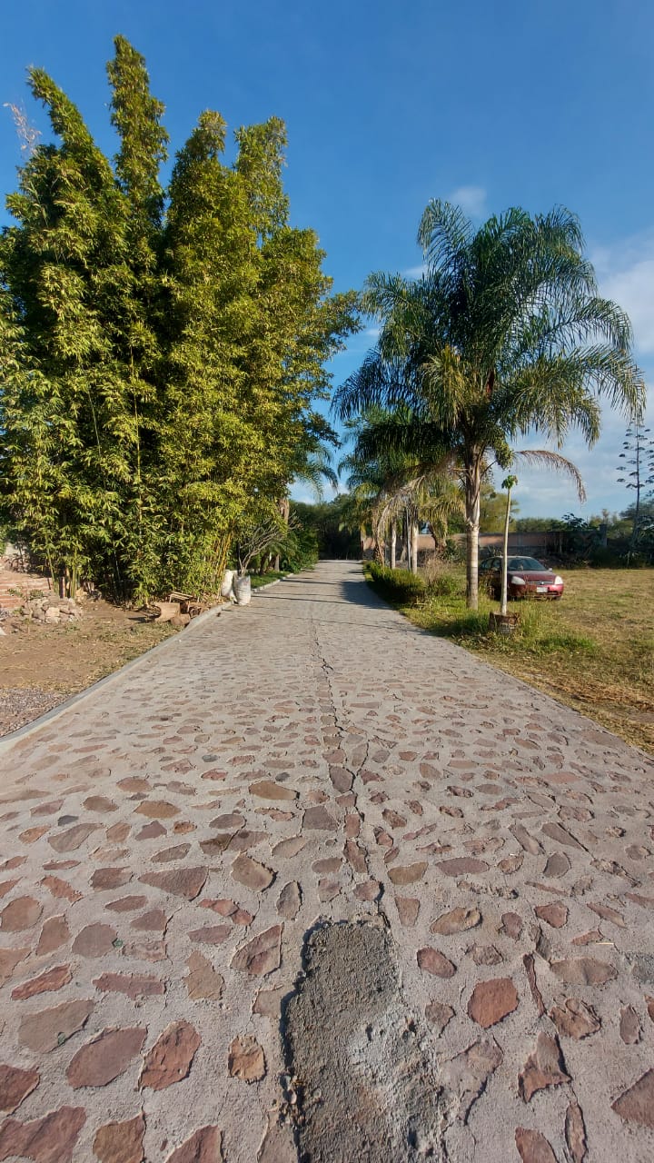 Birriería El Nogal, BIRRIA TATEMADA. image 3