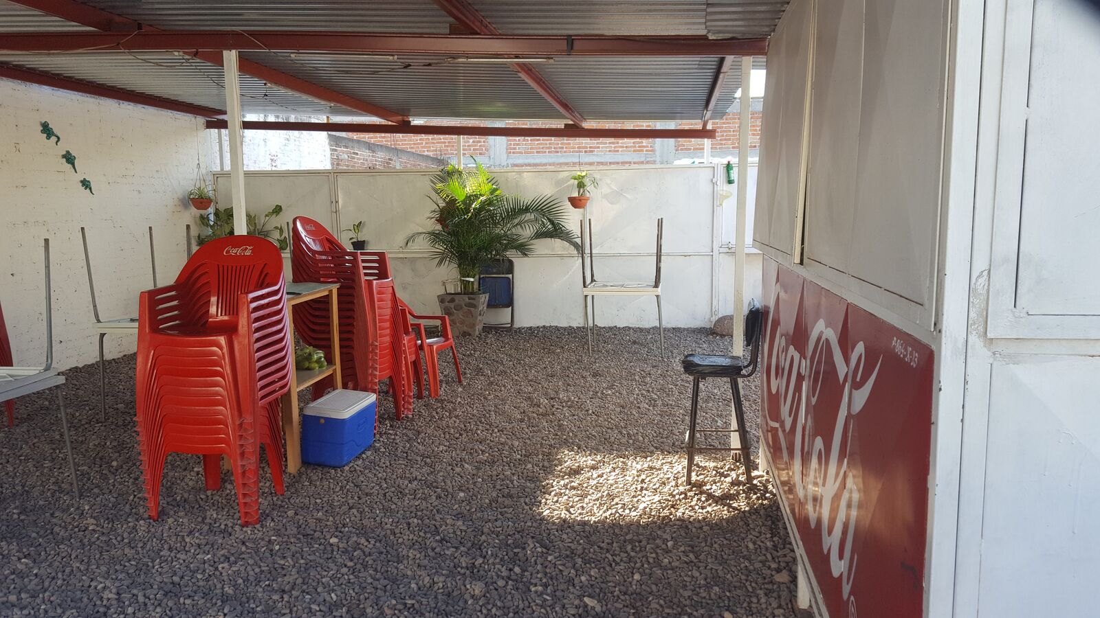 Tacos Doña Tere image 3