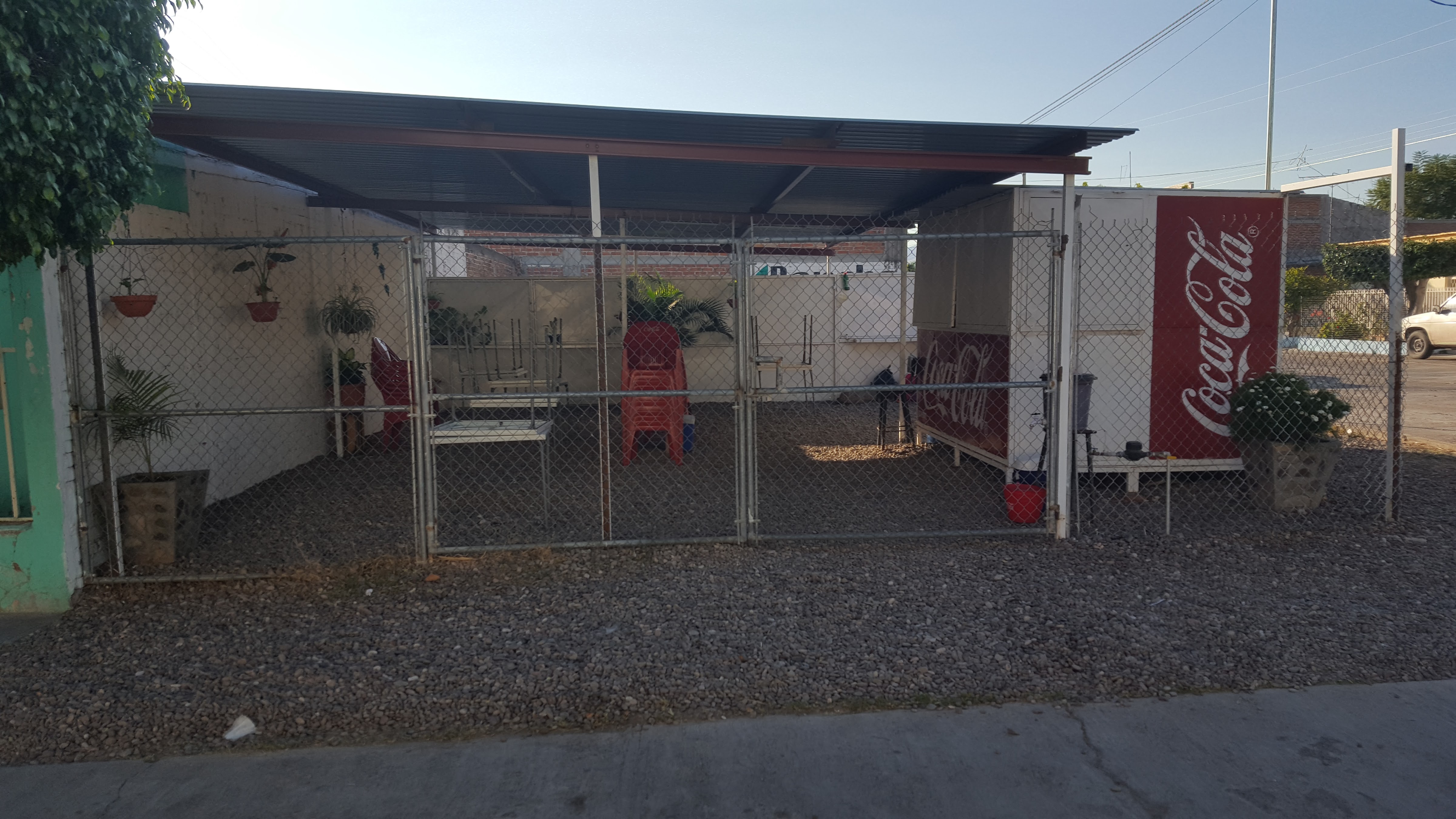 Tacos Doña Tere image 5