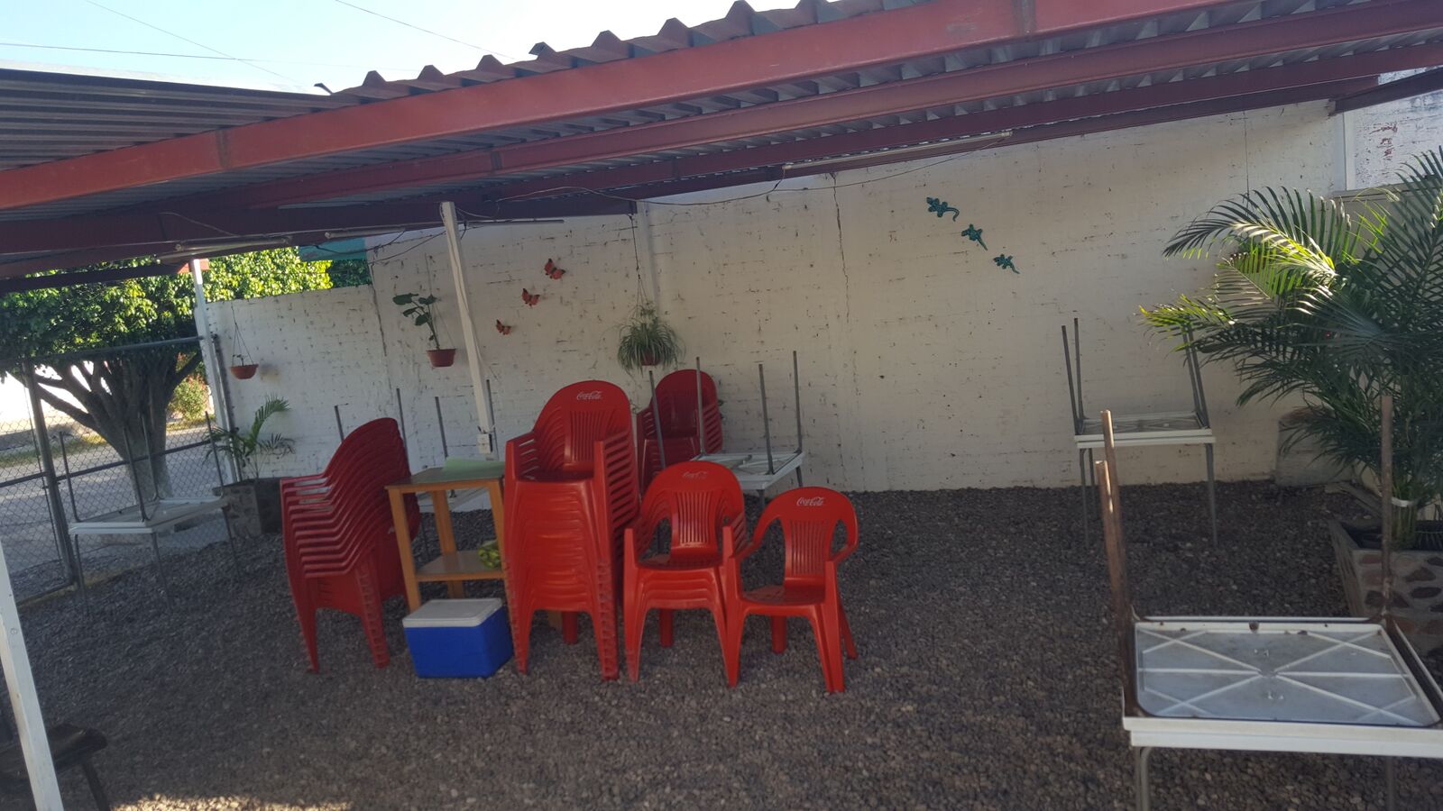 Tacos Doña Tere image 10