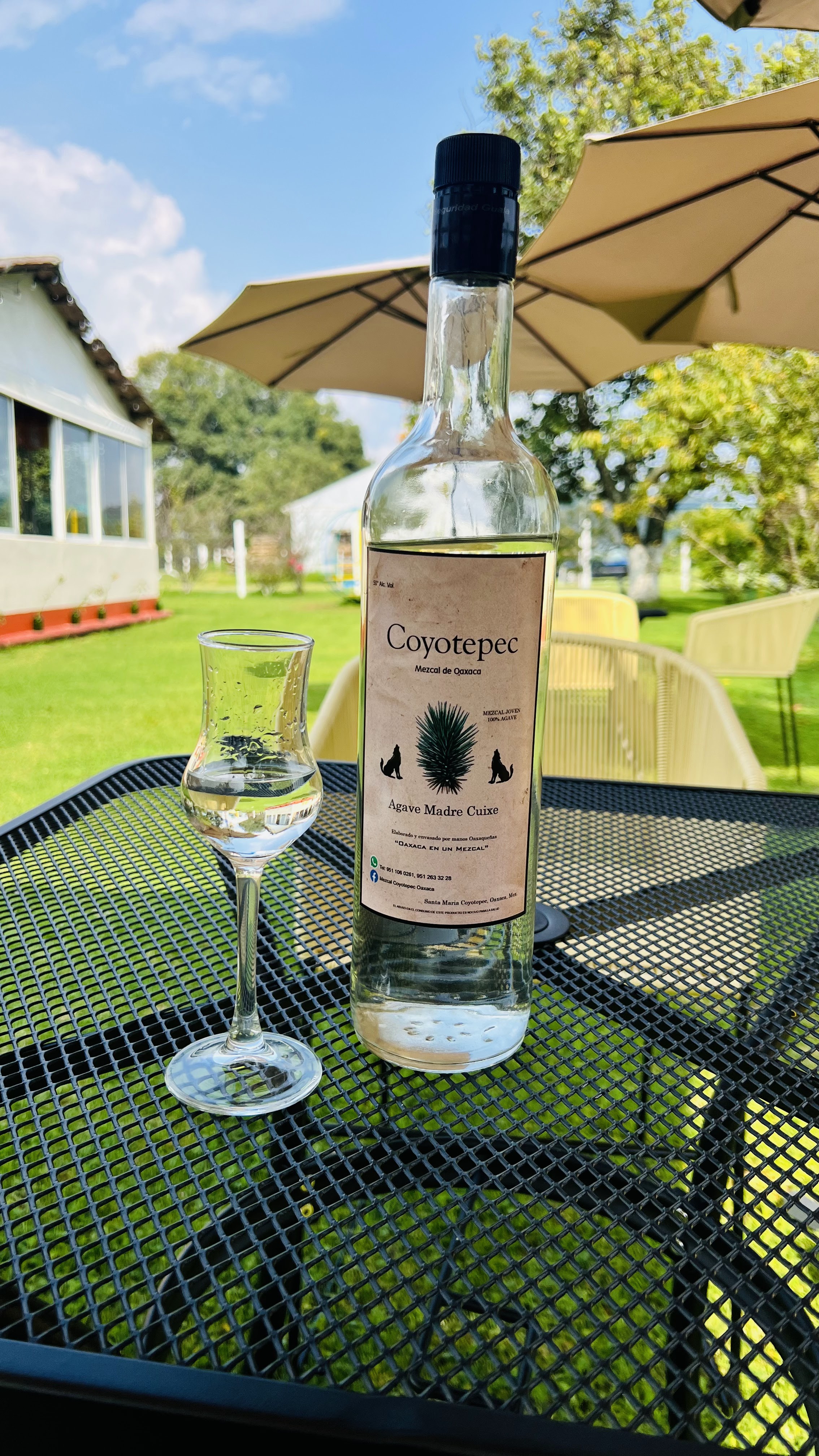 Paloma Mezcaleria image 7