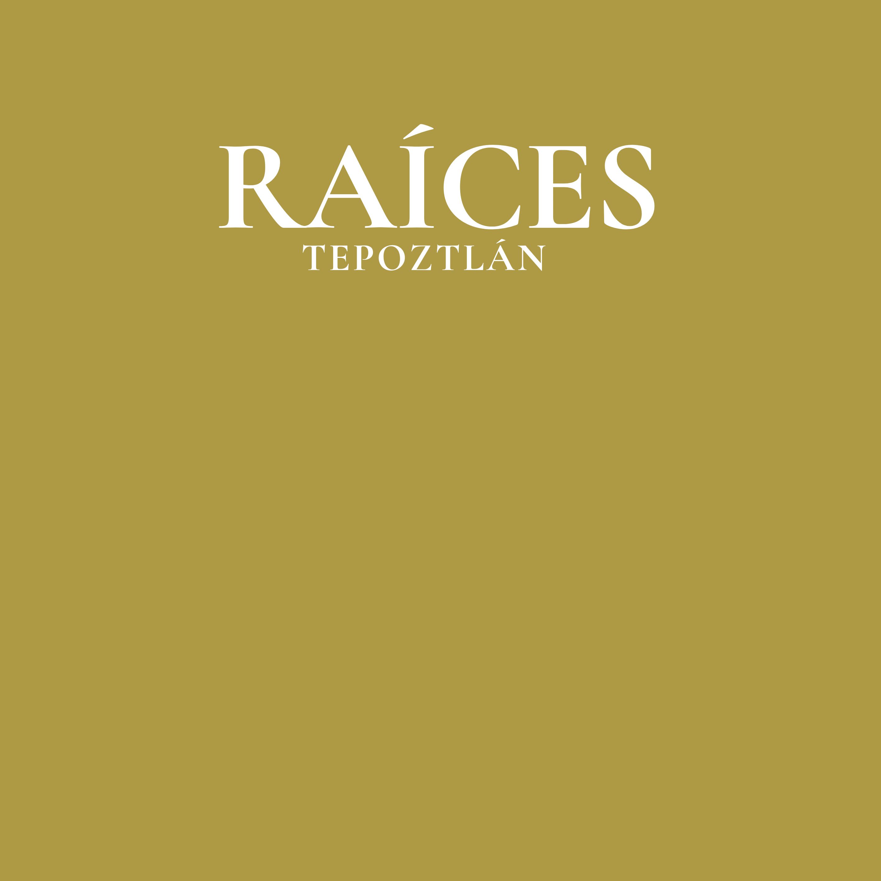 Raices Tepoztlan image 9