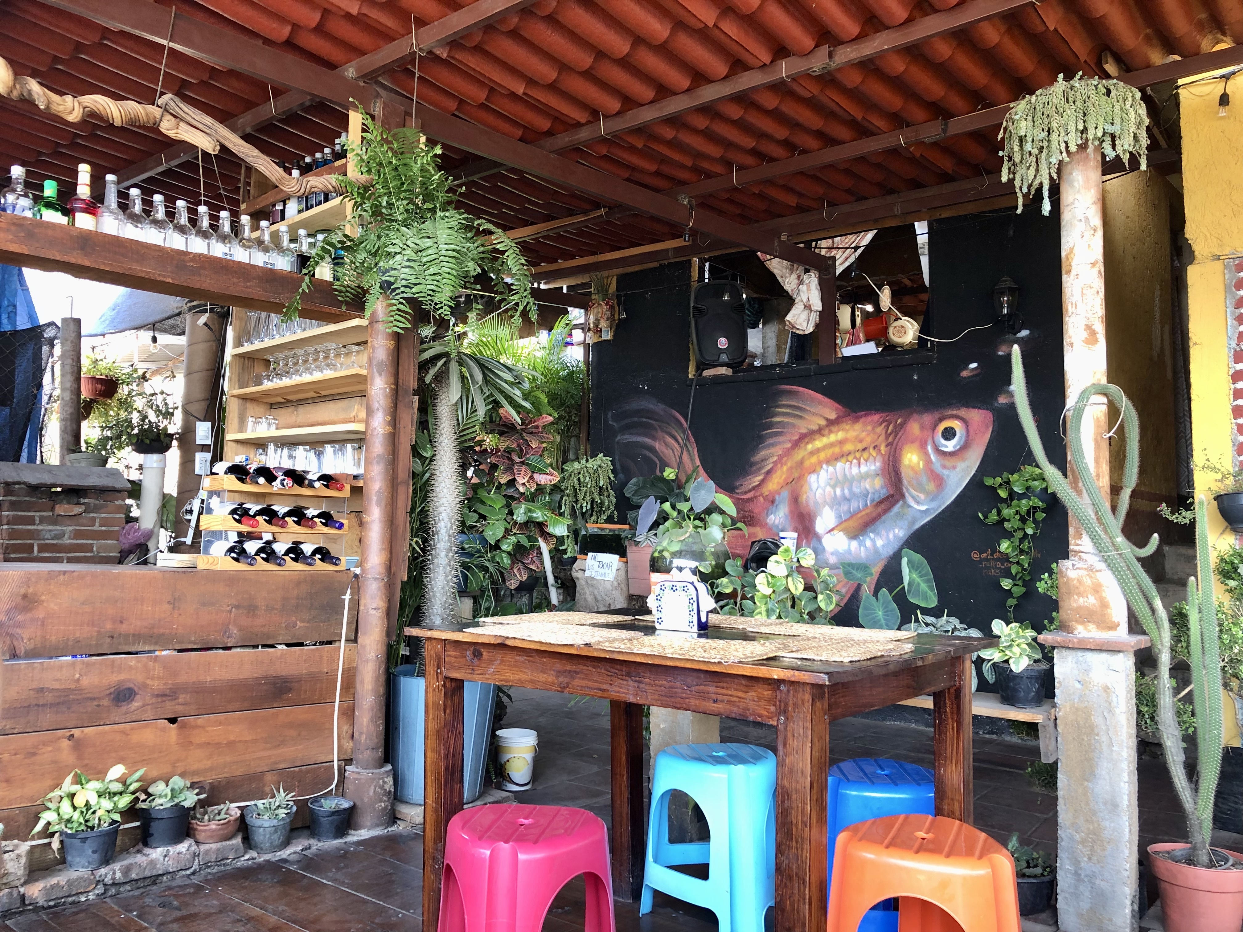 Tlacoyos Doña Mine image 1