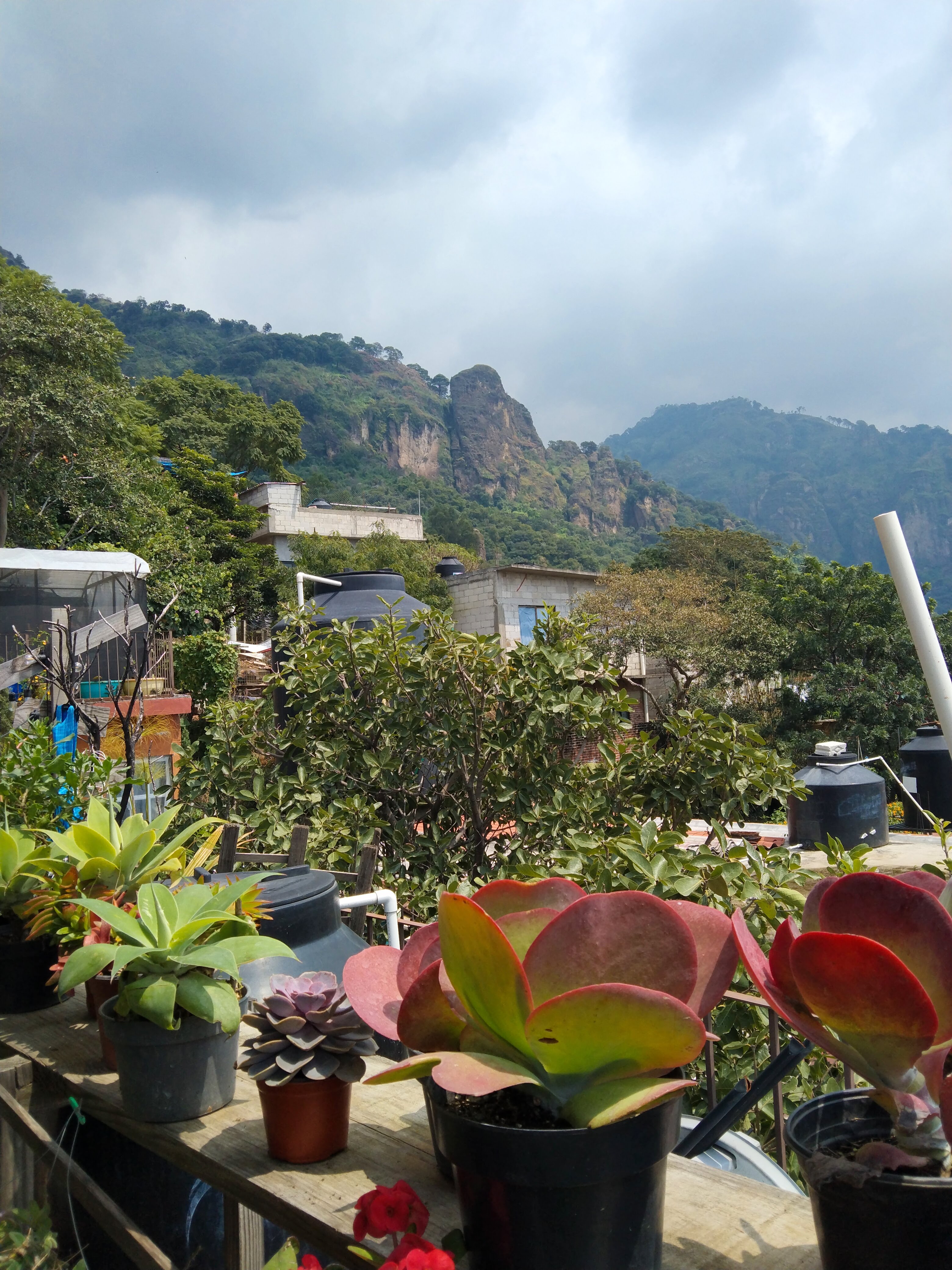 Tlacoyos Doña Mine image 5