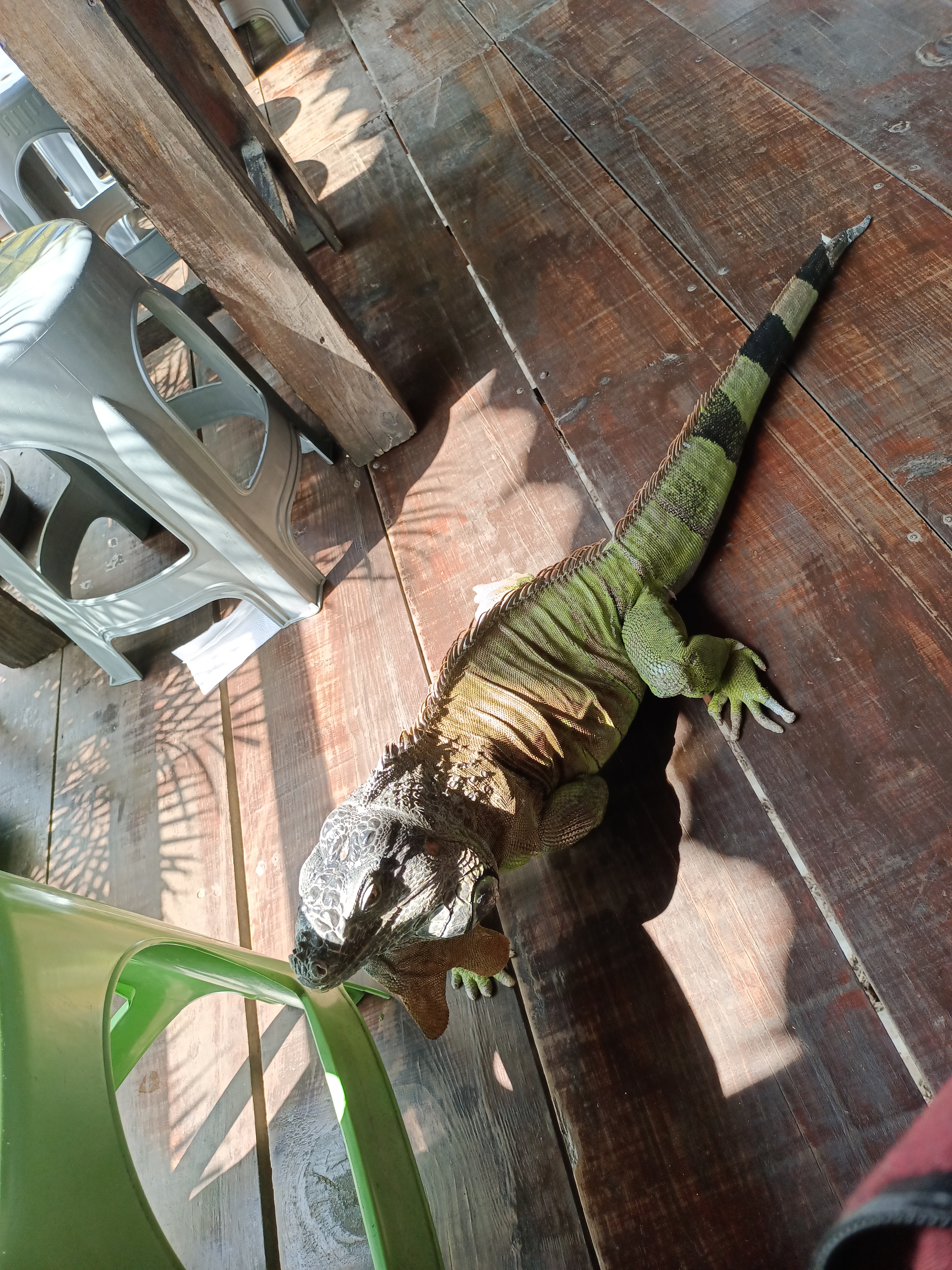 Tlacoyos Doña Mine image 7