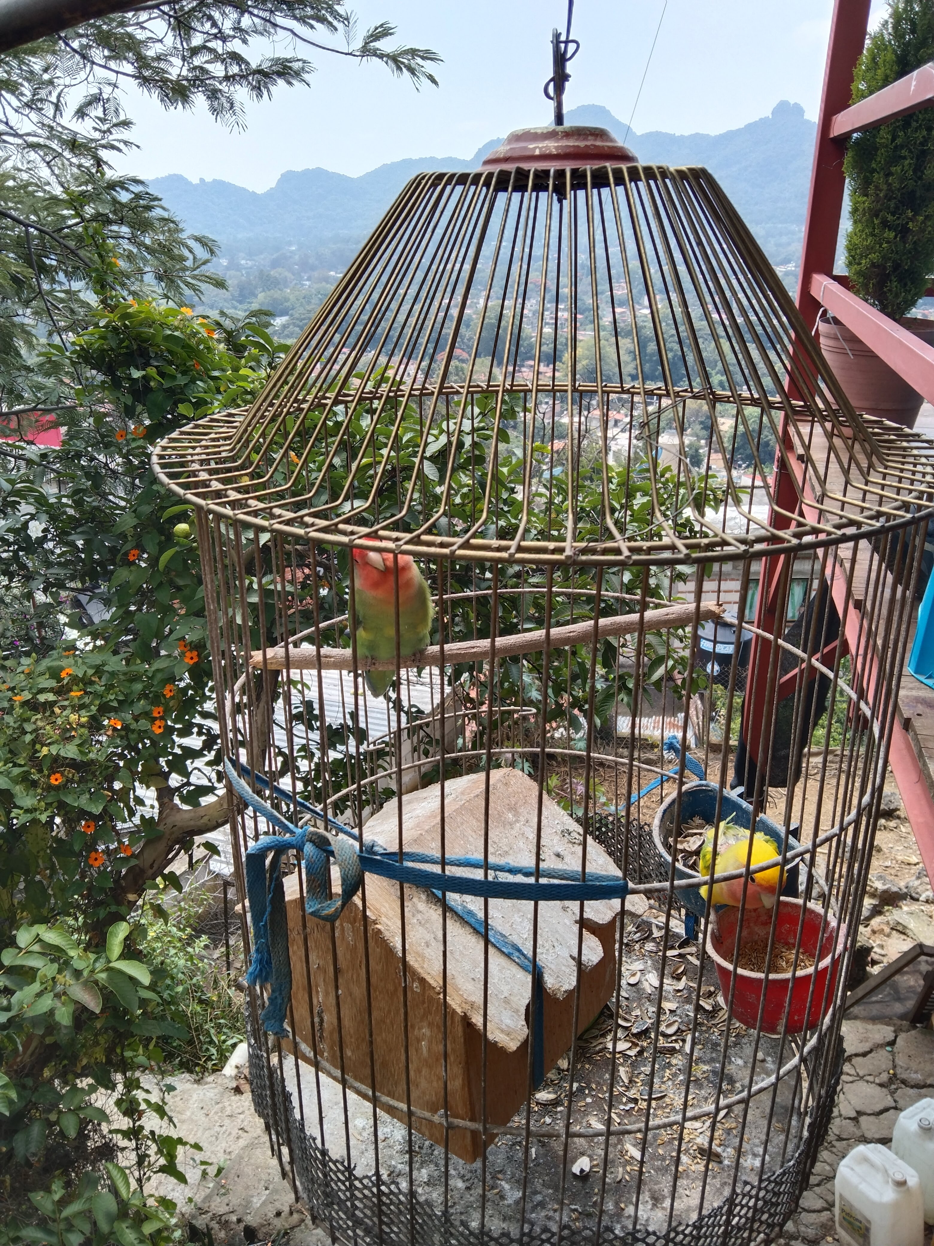 Tlacoyos Doña Mine image 10