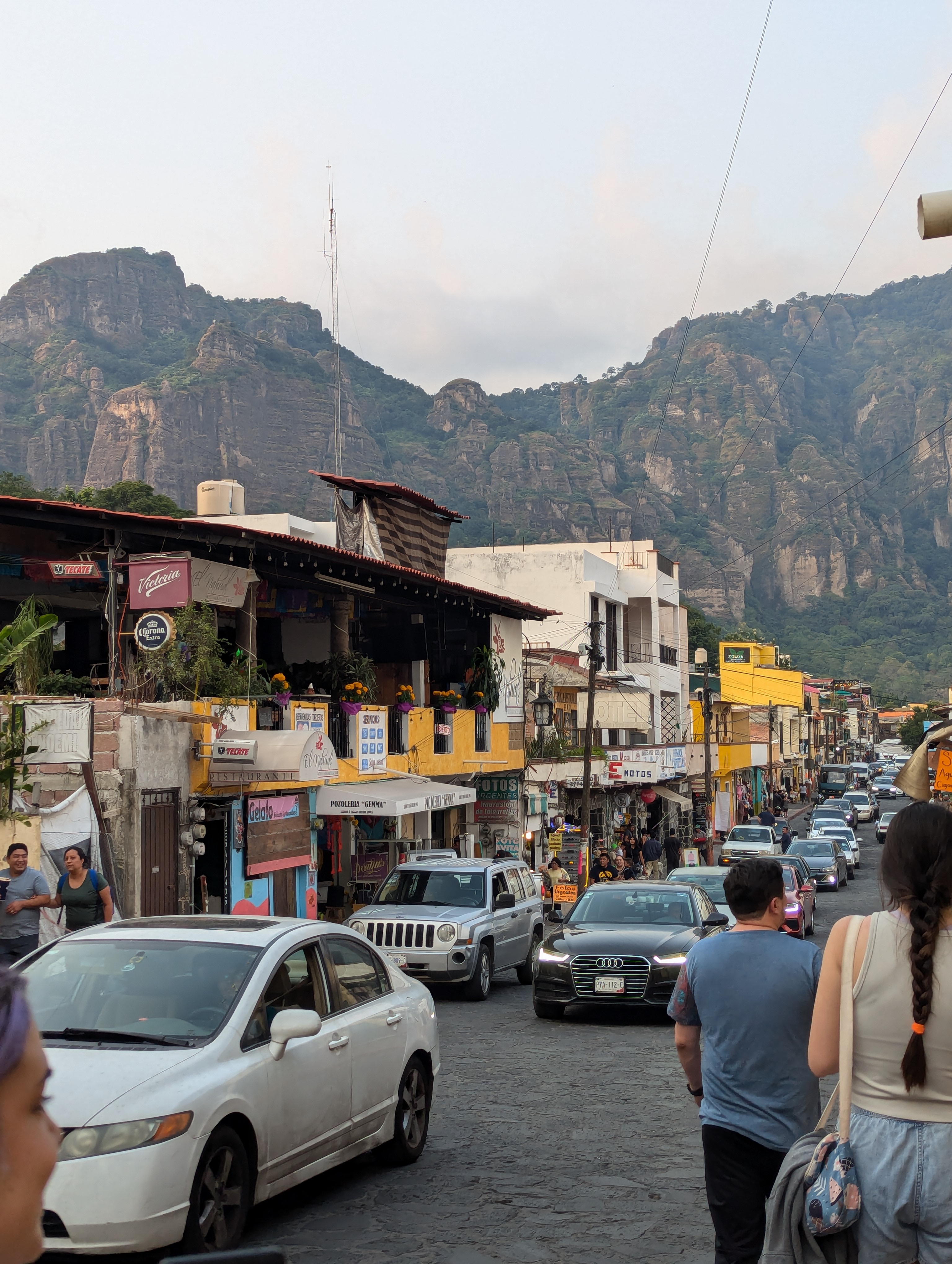 Pozoleria Gemma image 4