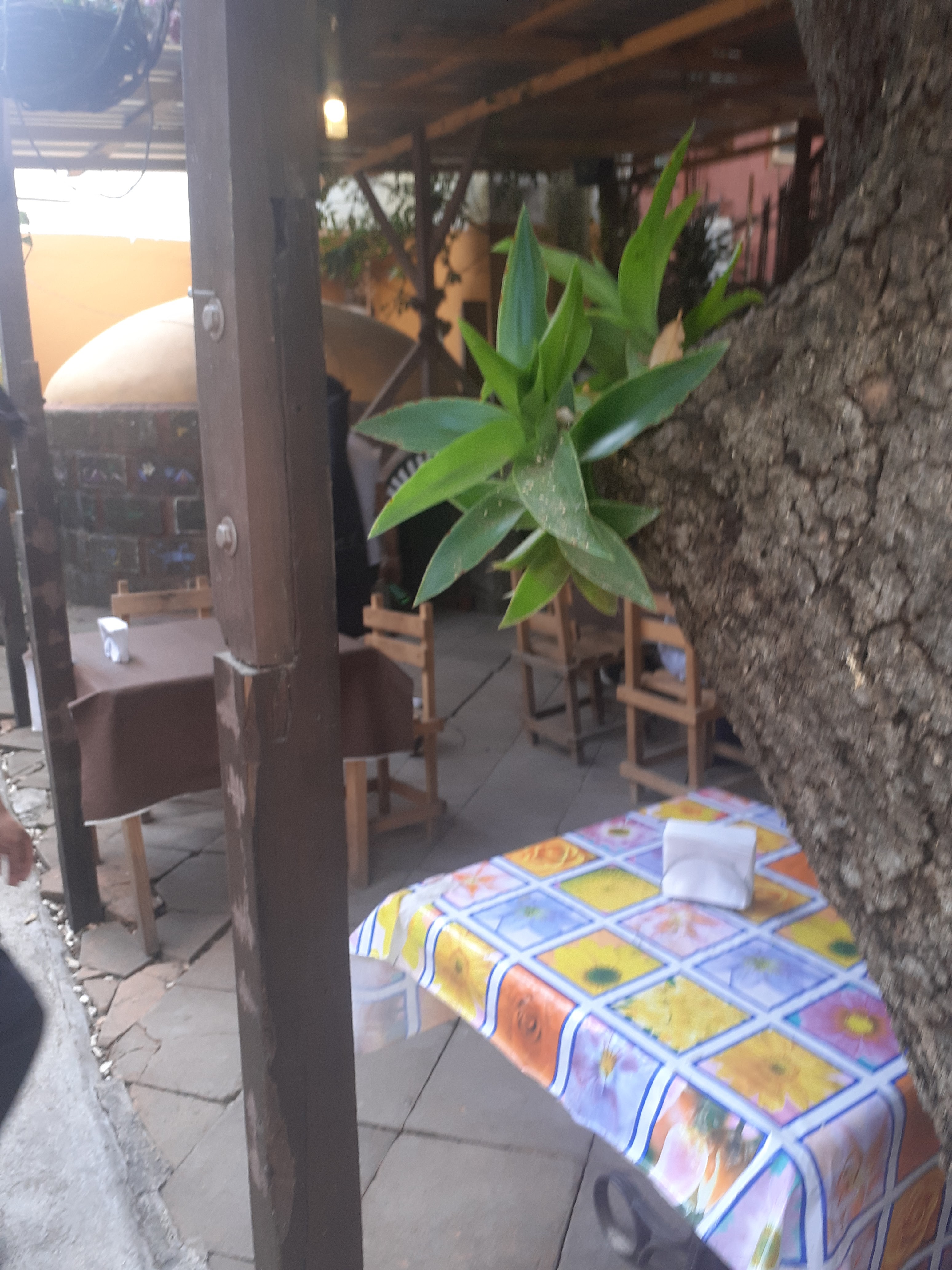 RESTAURANTE CUATRO RUMBOS RAÍCES Y SABORES image 5