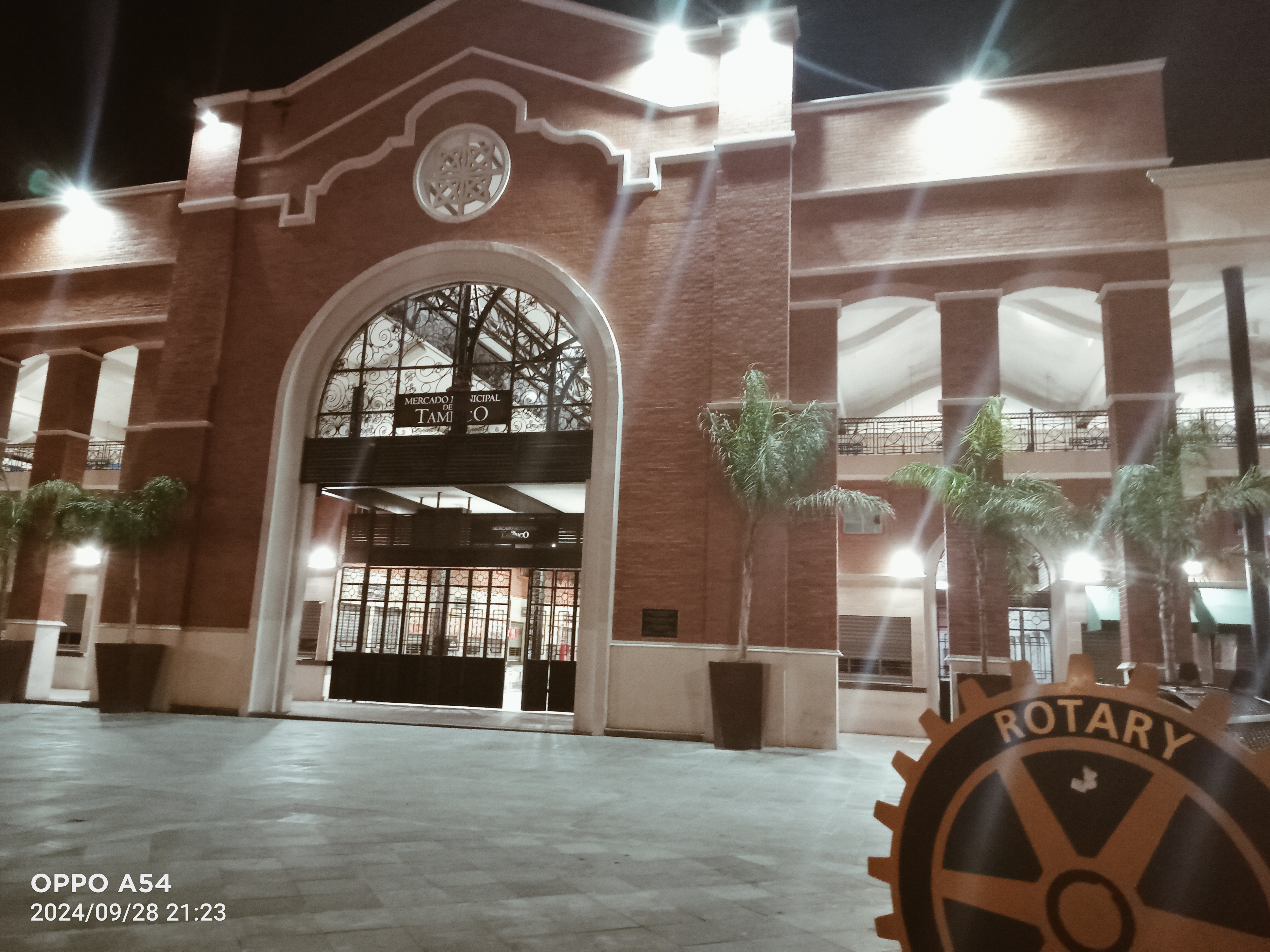 Café Selecto image 3